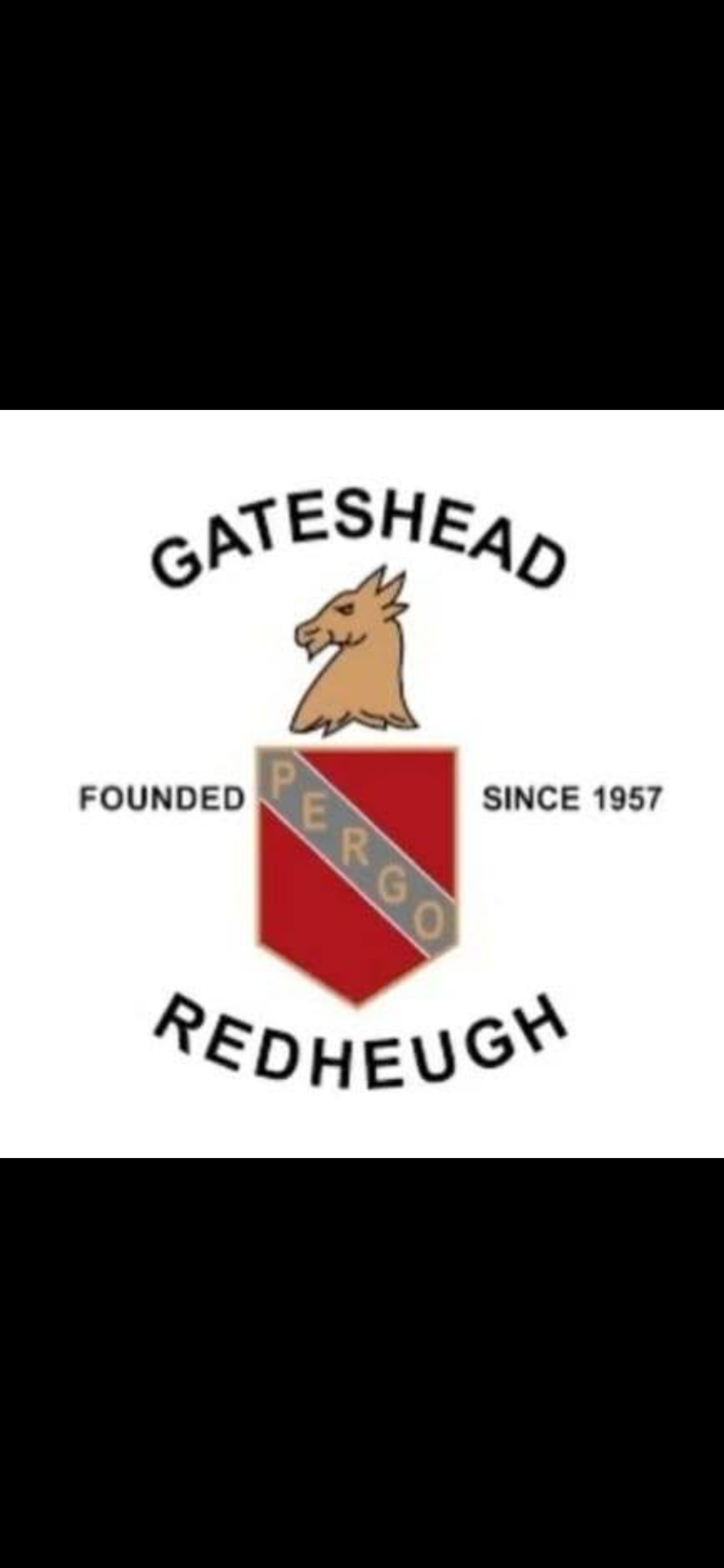 Help Gateshead Redheugh Rebuild Our 3G Pitch ❤️⚽ campaign photo, 4 of 5