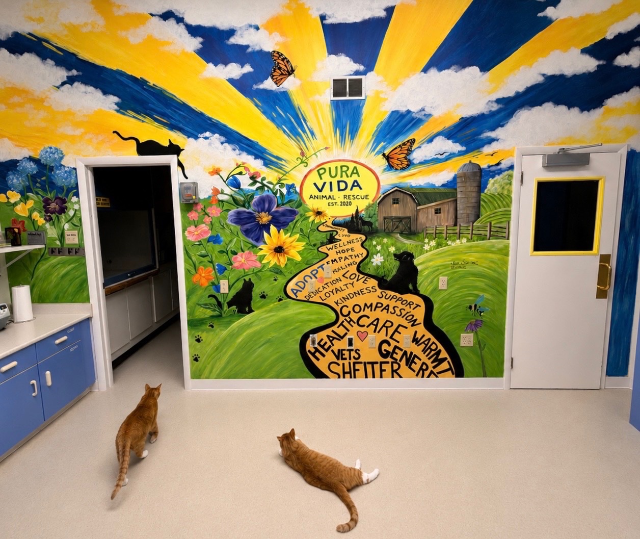 Support Pura Vida Animal Rescue Veterinary Health & Wellness campaign photo, 9 of 10