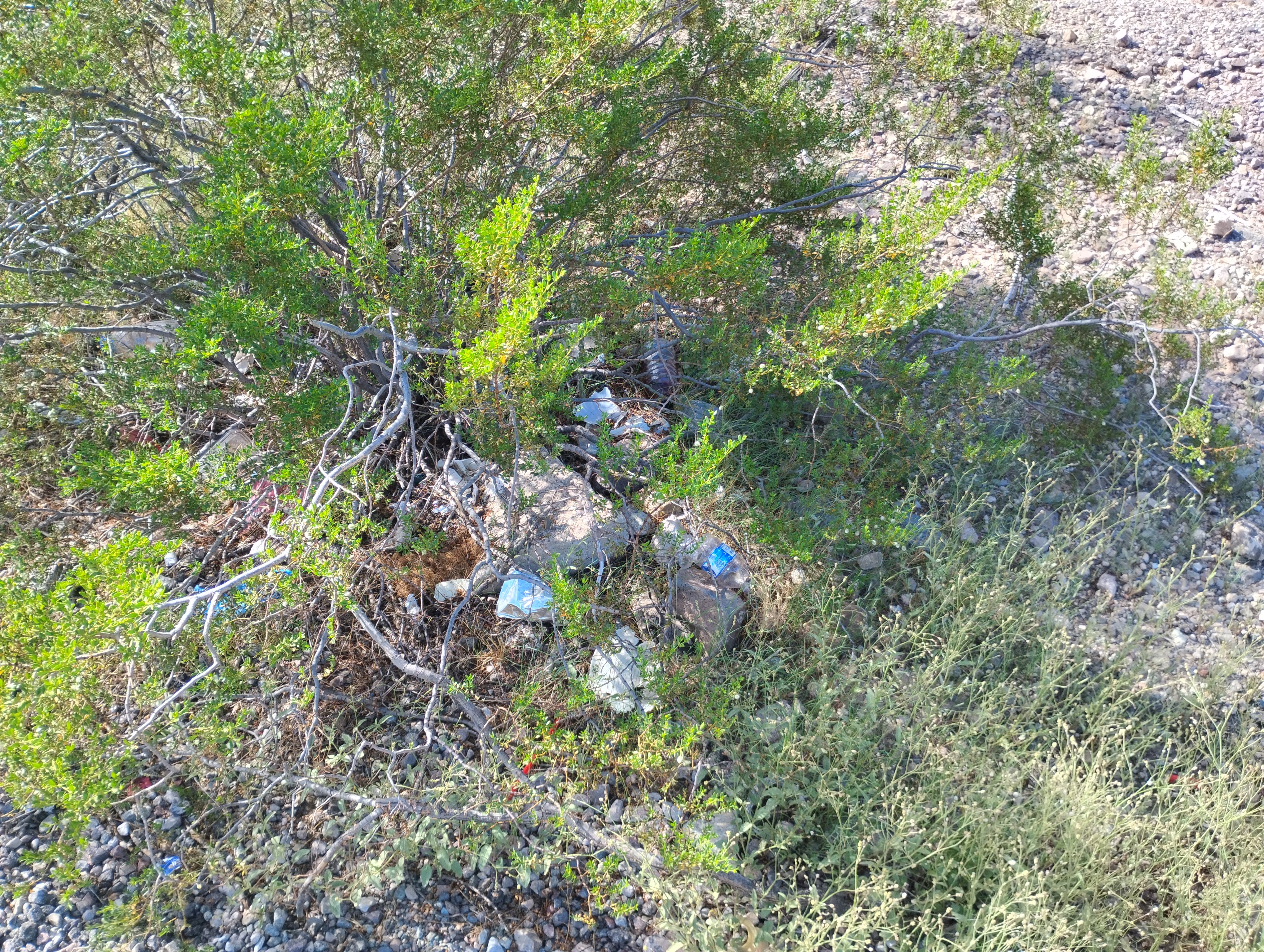 Keeping Western Arizona Roads Cleaner campaign photo, 5 of 8