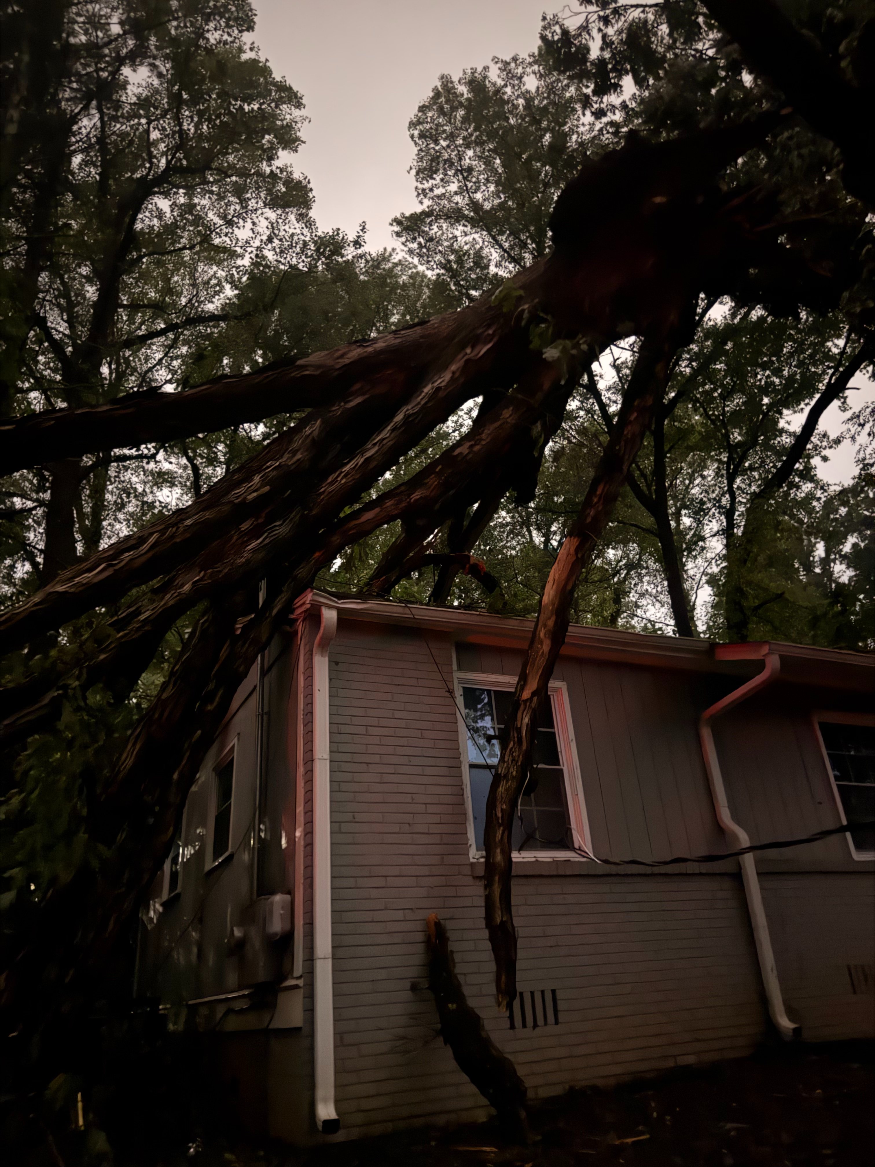 A Community Rally for the Palmers After the Storm campaign photo, 6 of 8