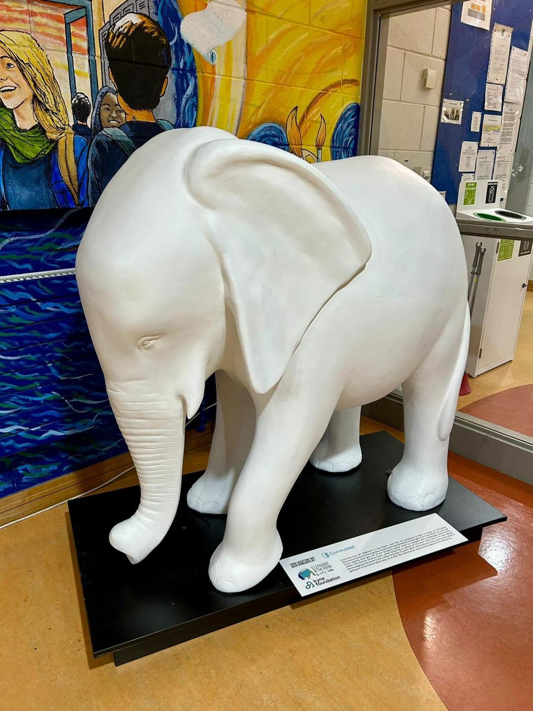 An Elephant for Infertility : Jodie’s Story campaign photo, 7 of 9