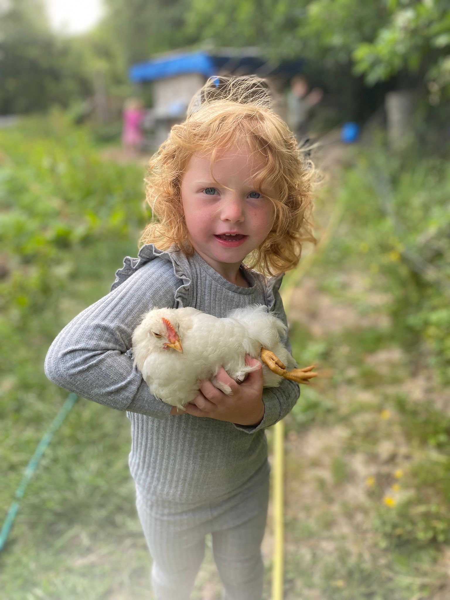 Help Us Save Barter’s Farm and Our Animals ❤️ campaign photo, 6 of 7