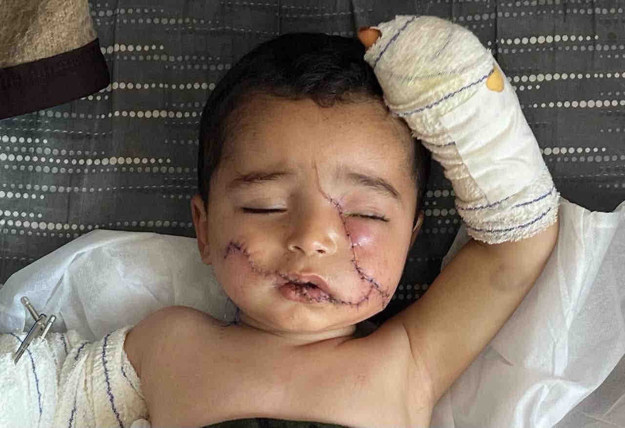 Urgent help for Sanad’s Family in Gaza campaign photo, 6 of 7