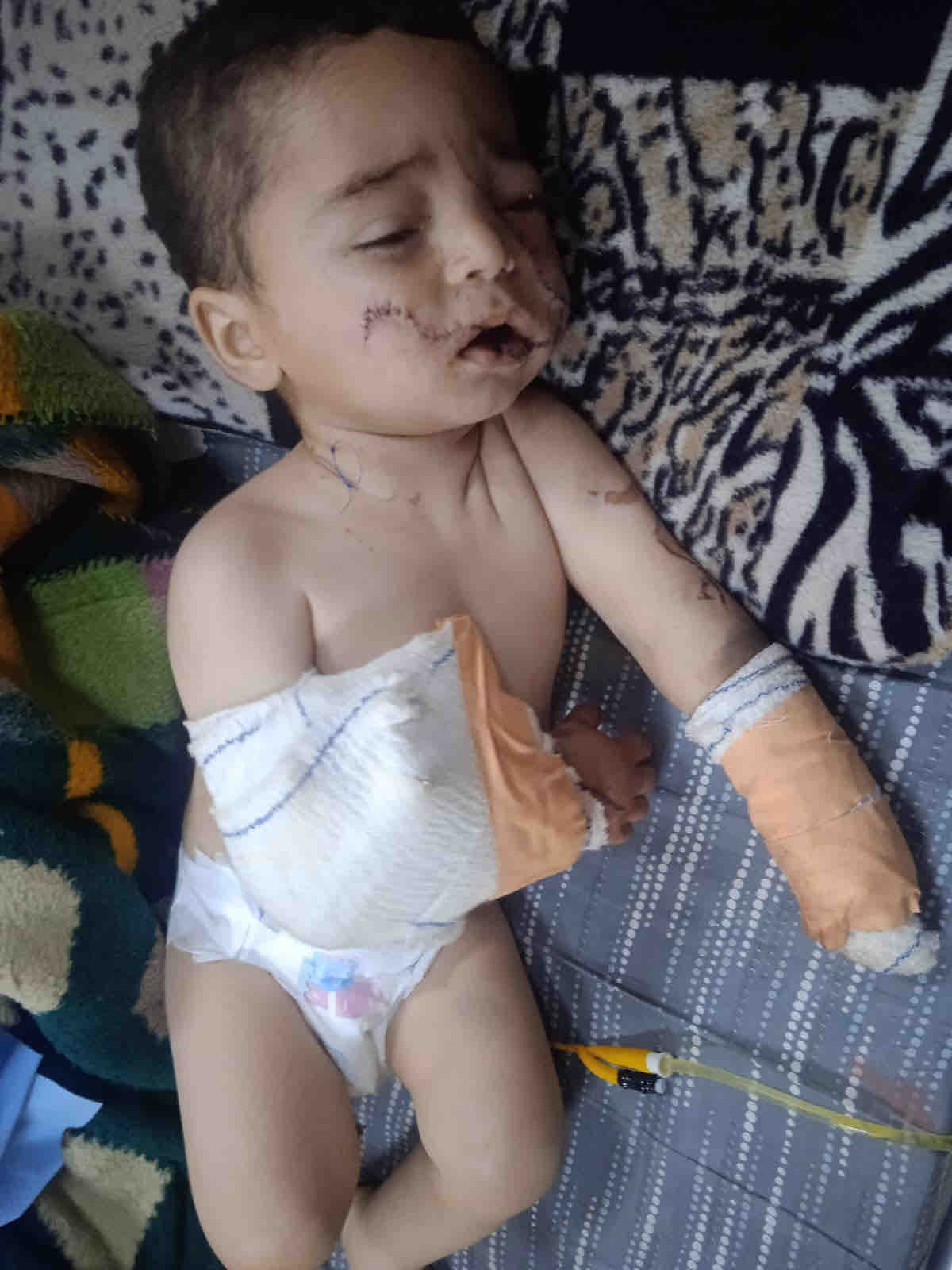 Urgent help for Sanad’s Family in Gaza campaign photo, 5 of 7