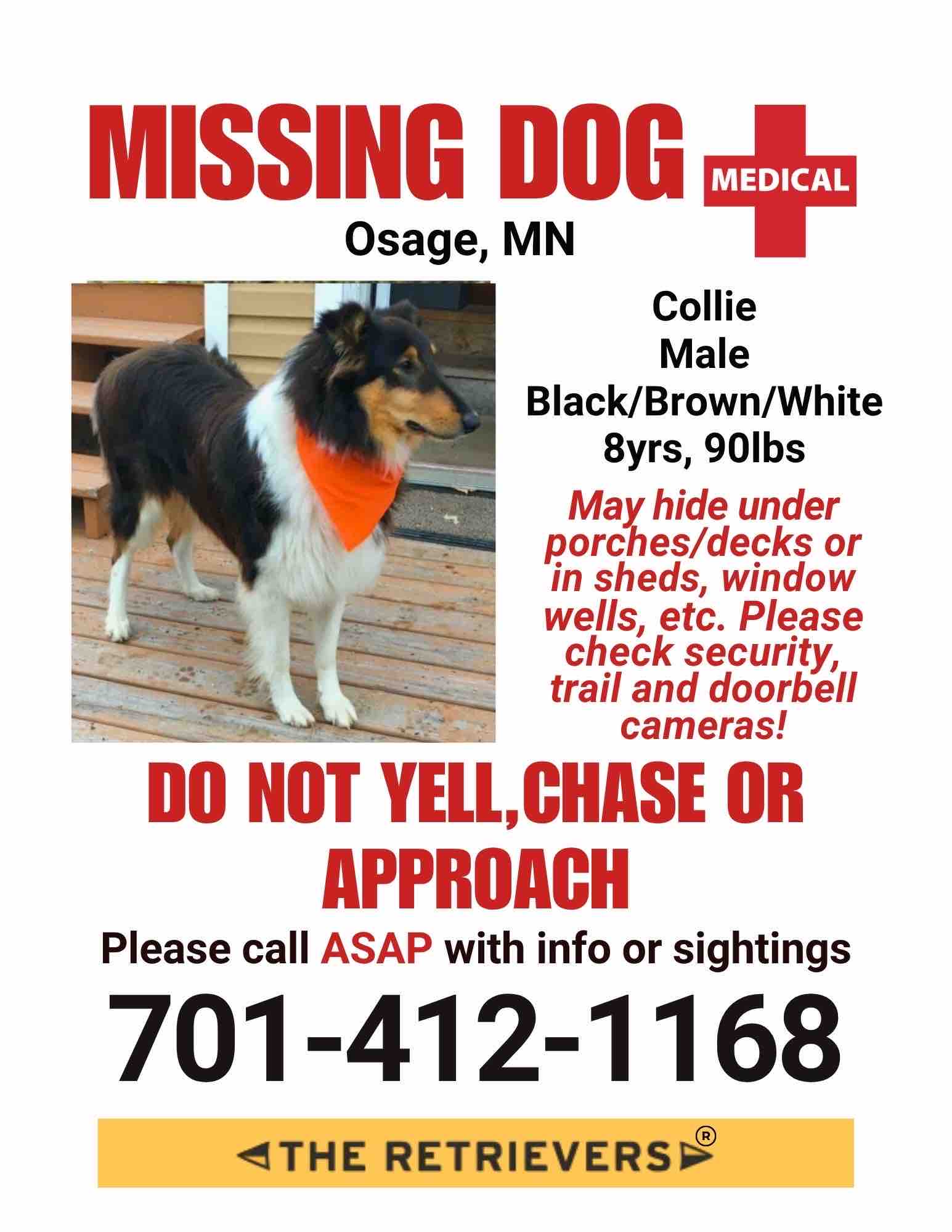 Help! 16 Days Missing, Duke the incredible Fighter campaign photo, 9 of 11