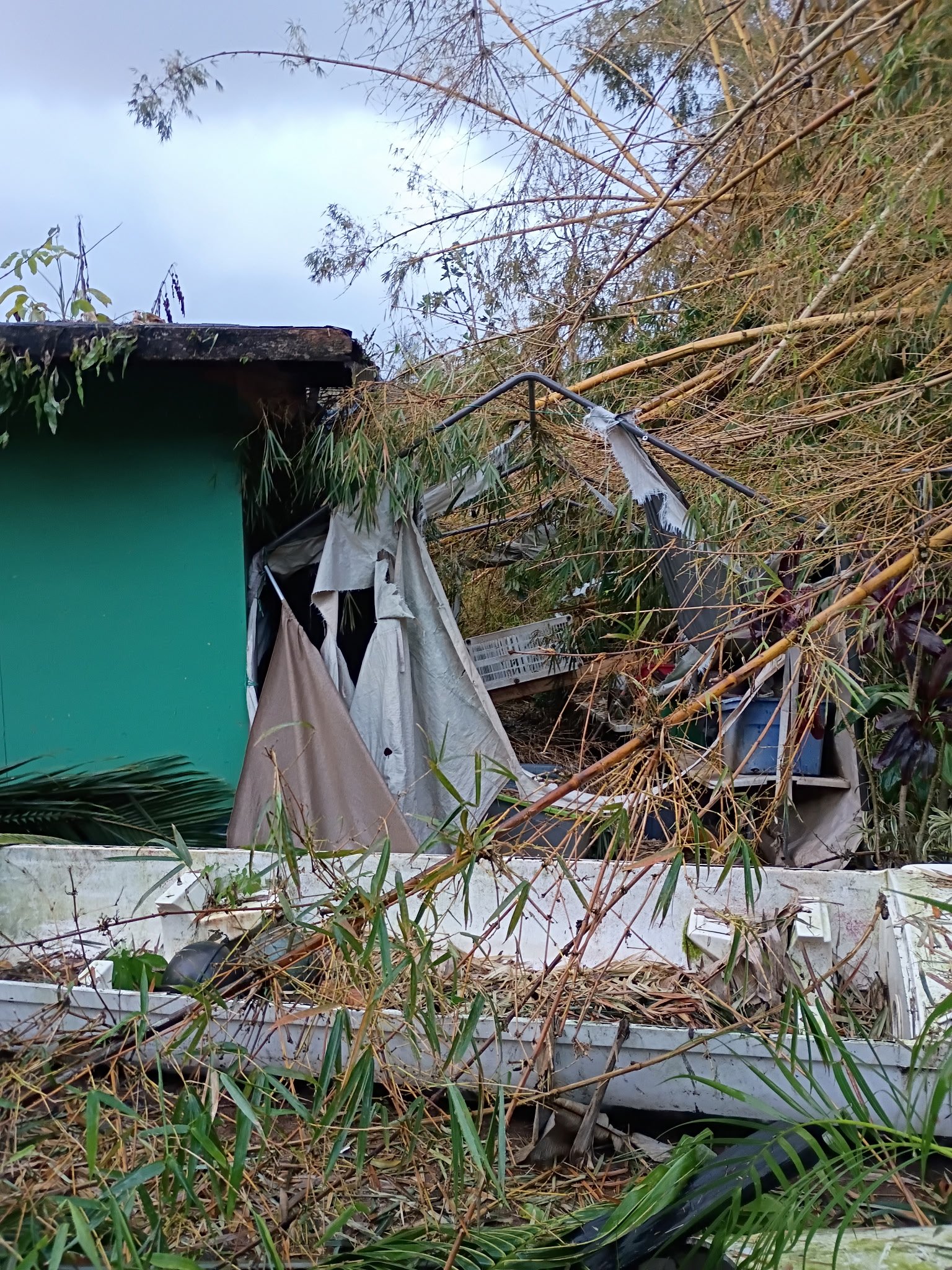Helping Ka’imi and Anais Recover After Hurricane Lowell campaign photo, 6 of 9