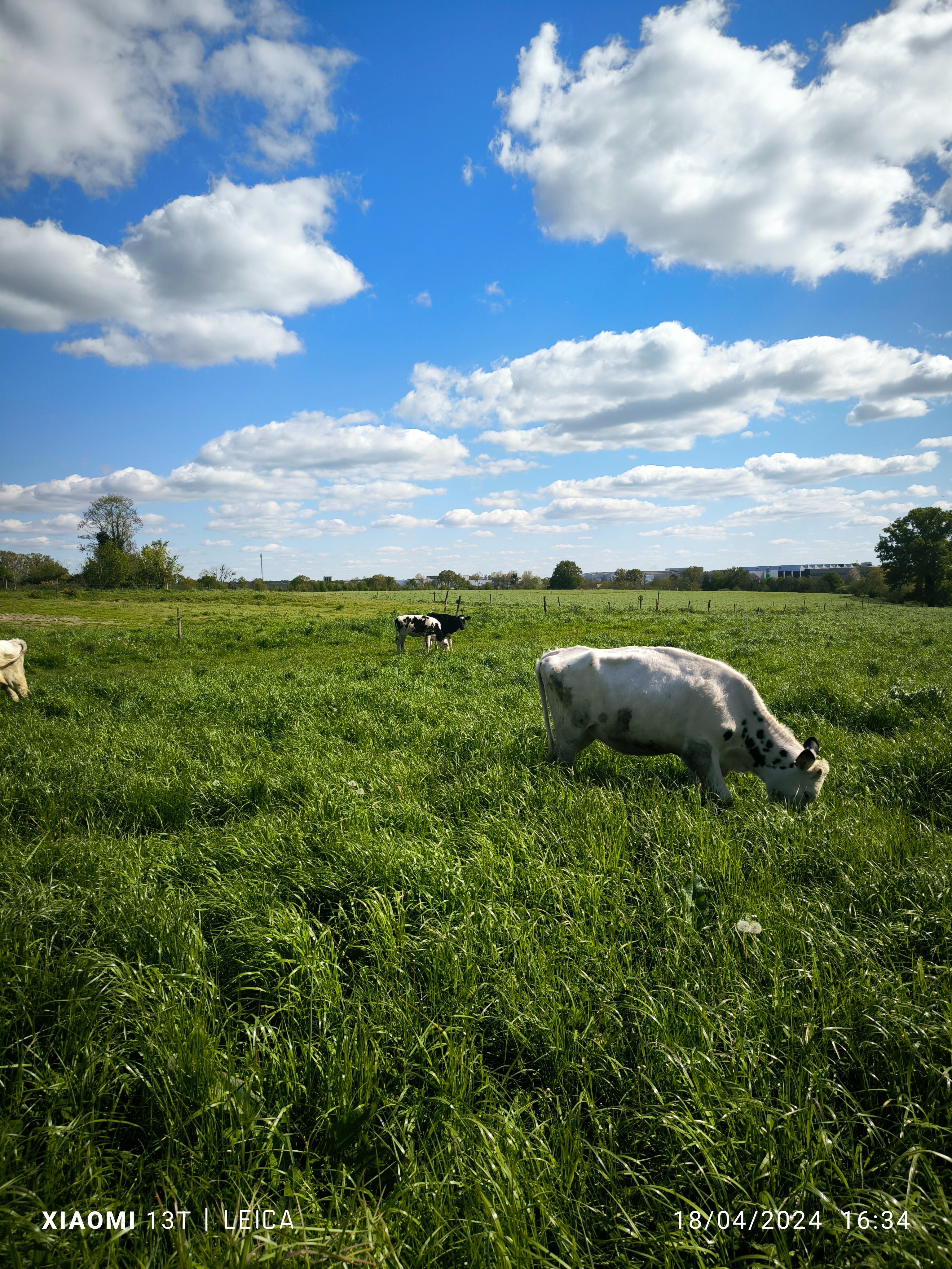 Sauver une ferme laitière en Agriculture Biologique campaign photo, 5 of 8