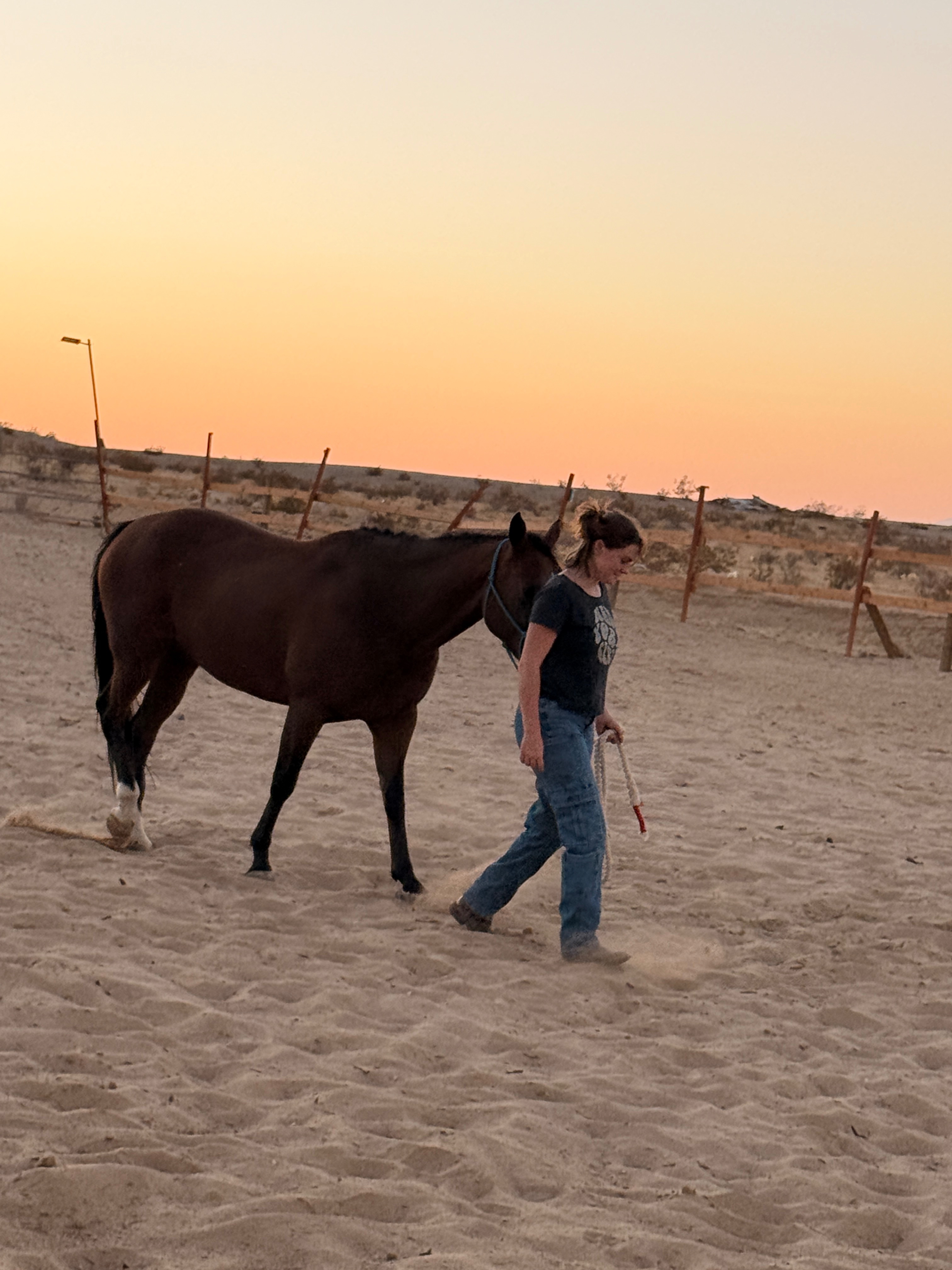 Help Anna Bring Her Healing Horse Home campaign photo, 6 of 8