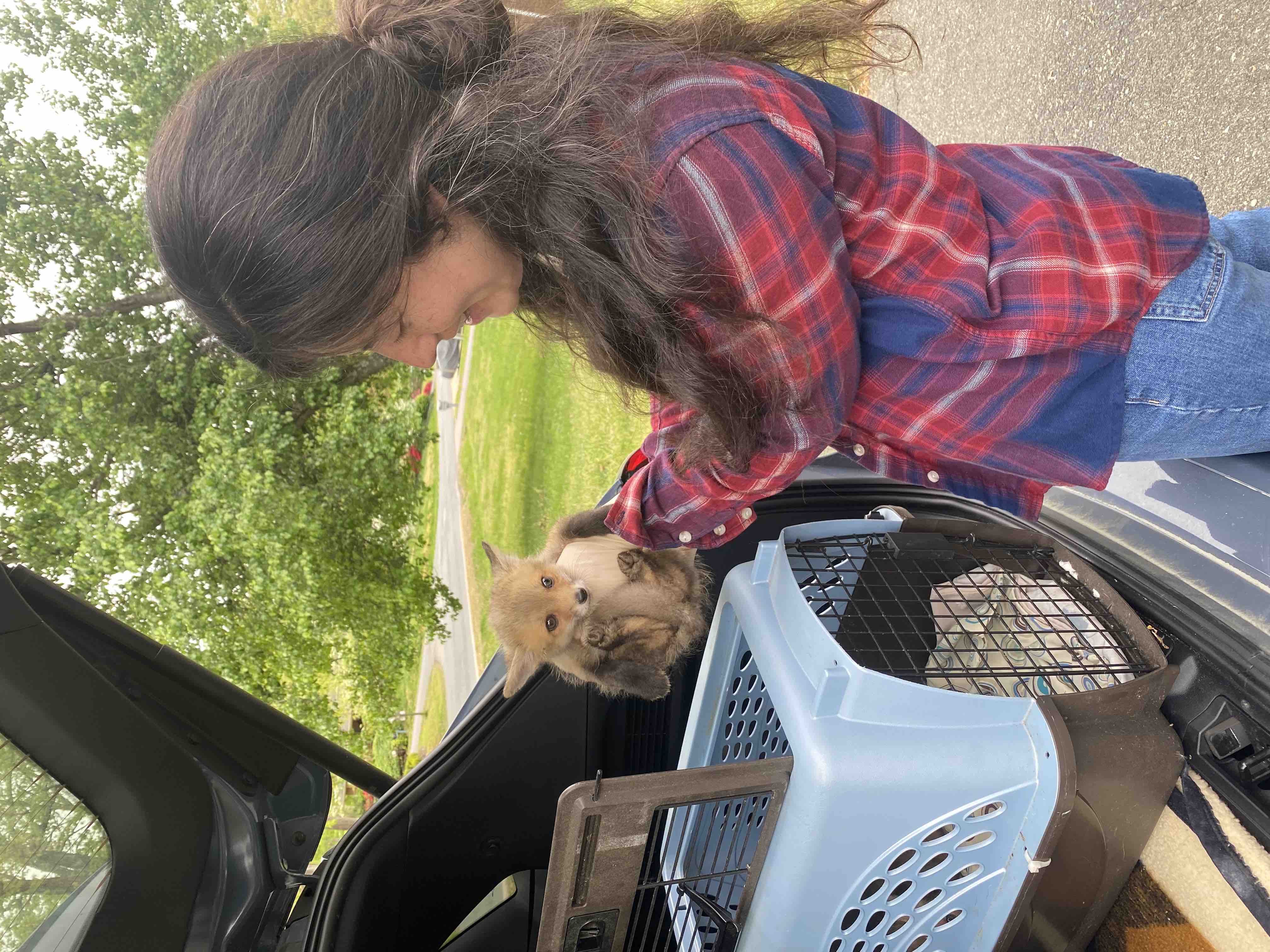 Help Us Repair Our Home & Continue Caring for Wildlife campaign photo, 2 of 11