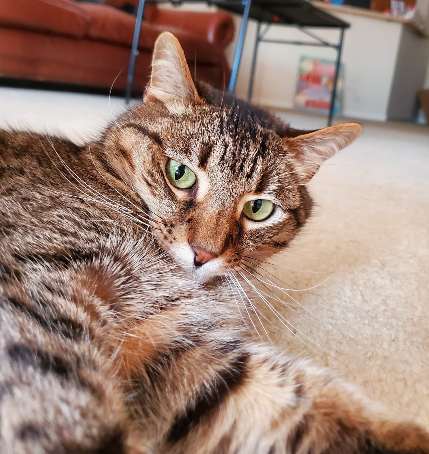 Calvin's Lymphoma Treatment Fund campaign photo, 2 of 7