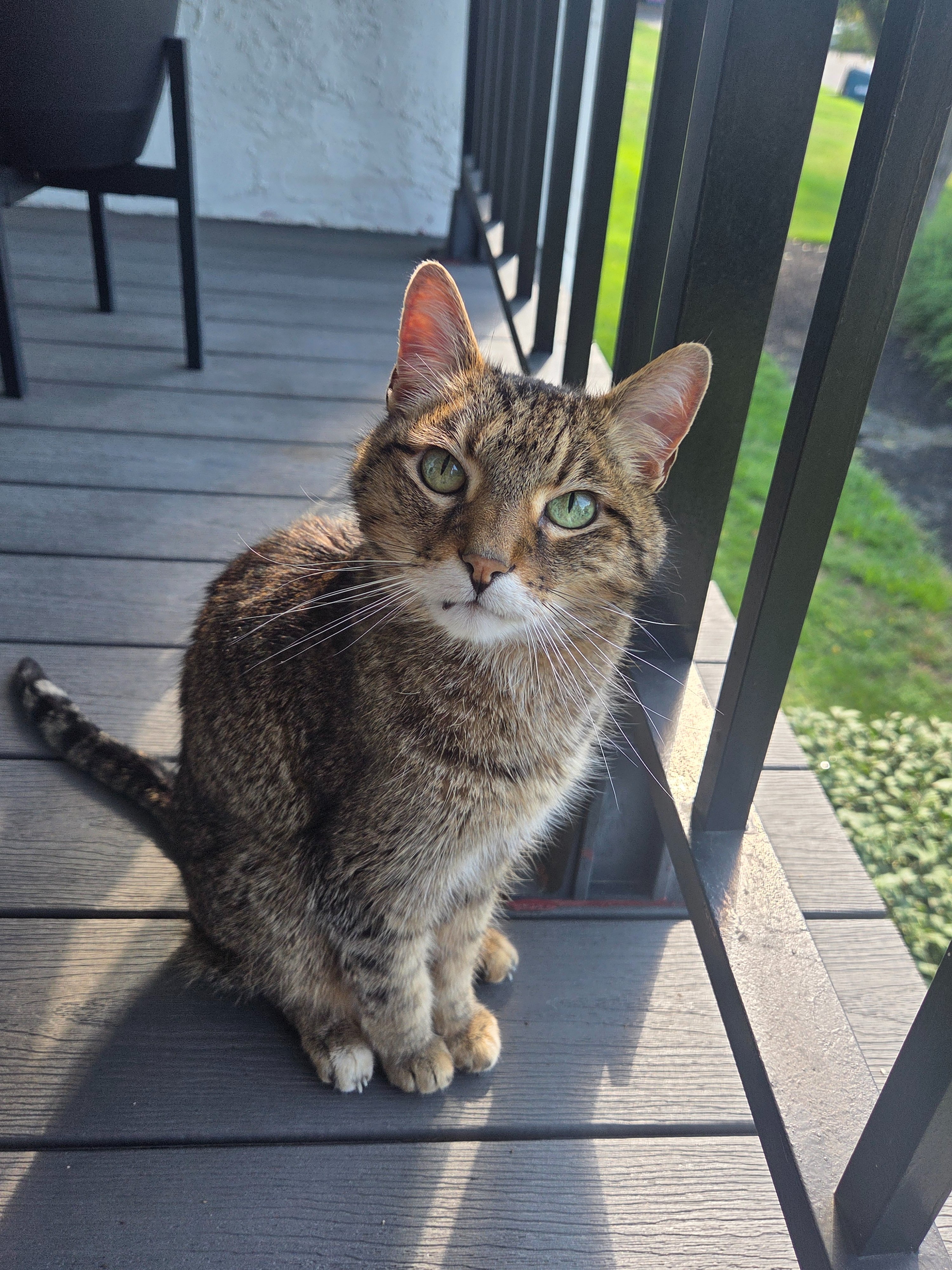 Calvin's Lymphoma Treatment Fund campaign photo, 5 of 7