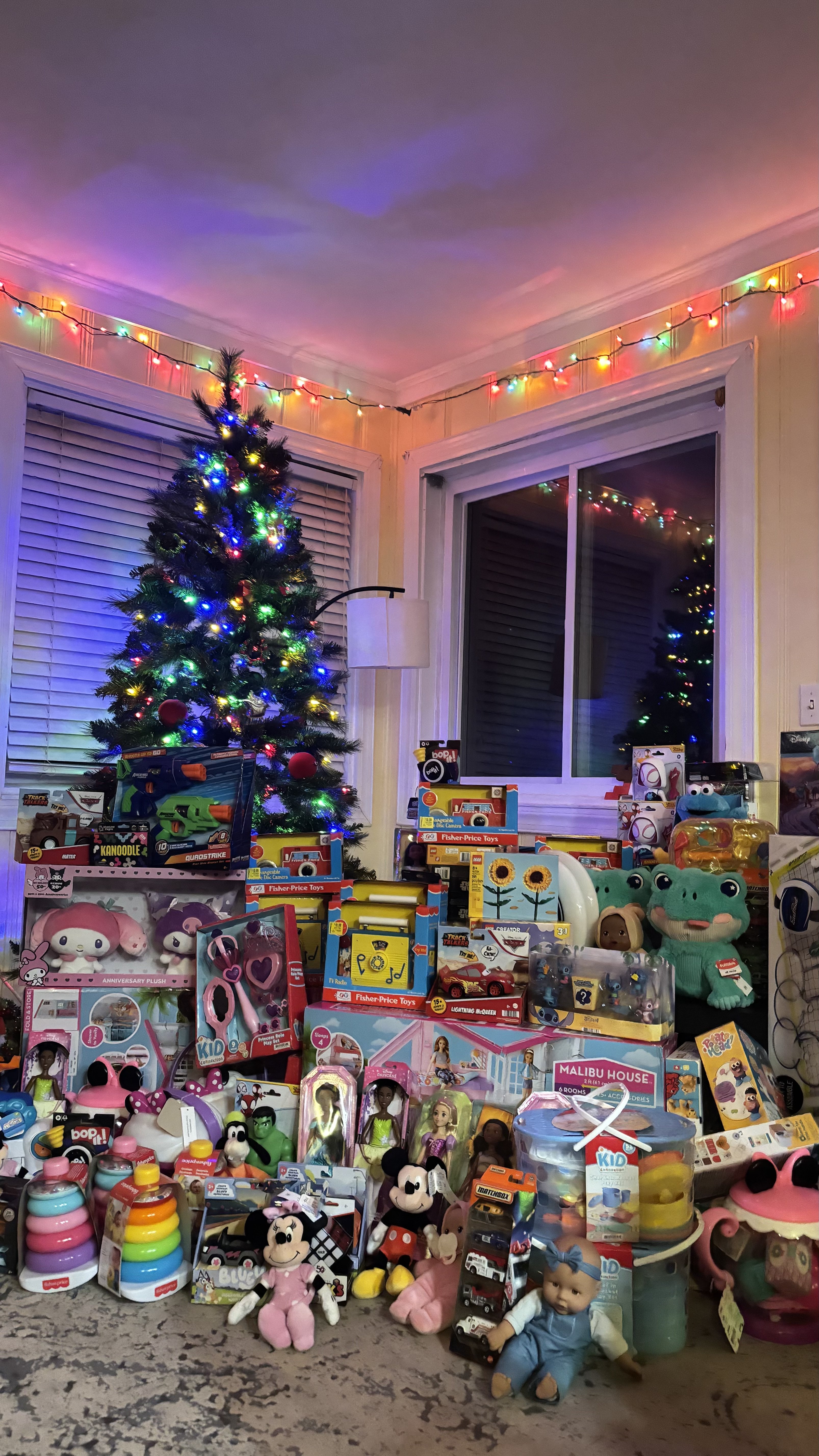 Support UNC Dining Hall Staff Through the CDS Toy Drive campaign photo, 4 of 5