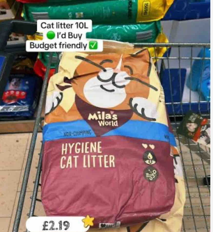 Cat and kitten food and cat litter campaign photo, 2 of 5