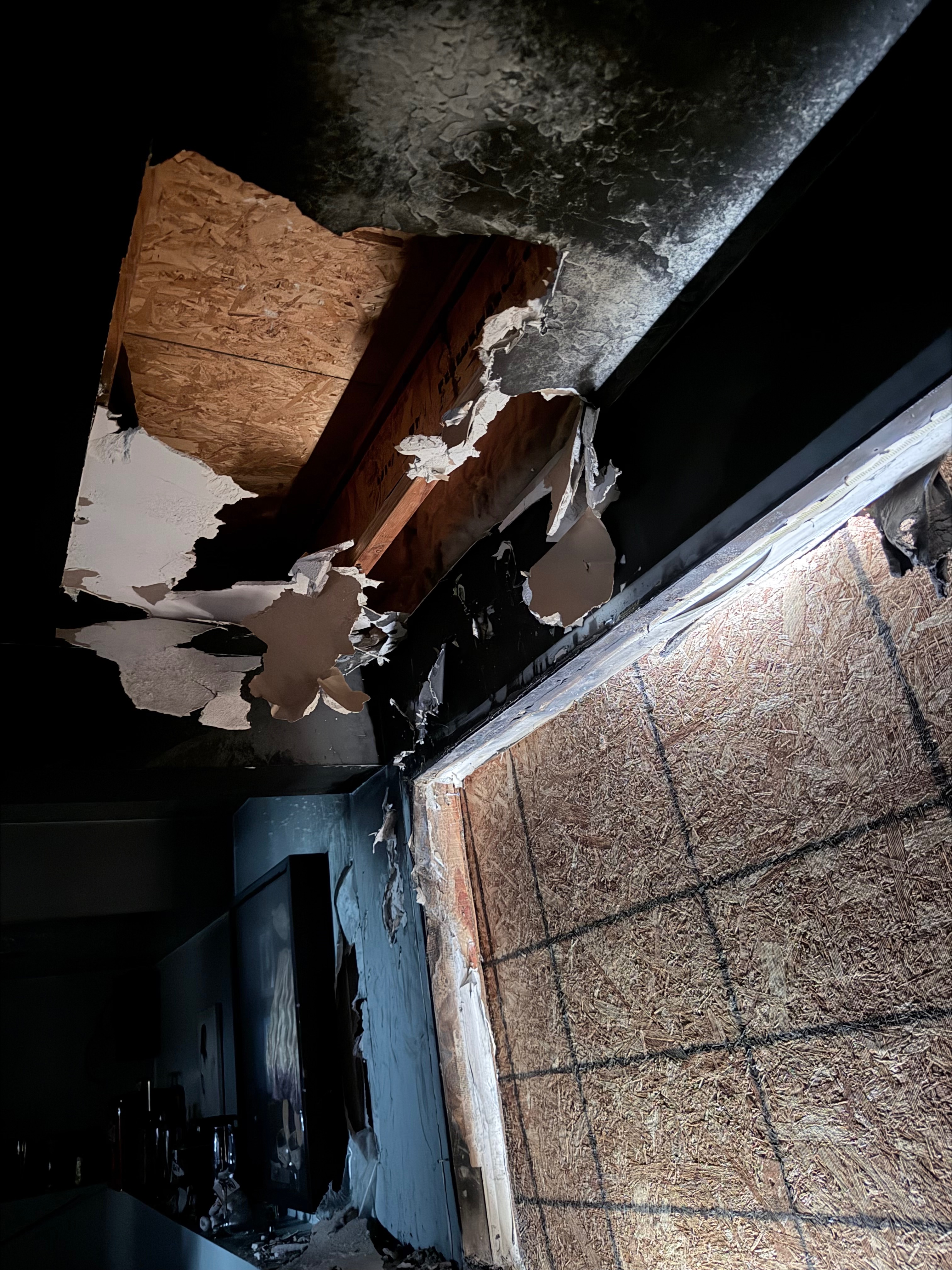 Help Lauren Kudla's Friend After the House Fire campaign photo, 2 of 9