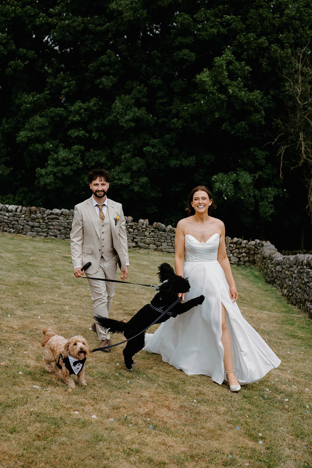 Help Mango walk again! Our IVDD journey campaign photo, 4 of 7