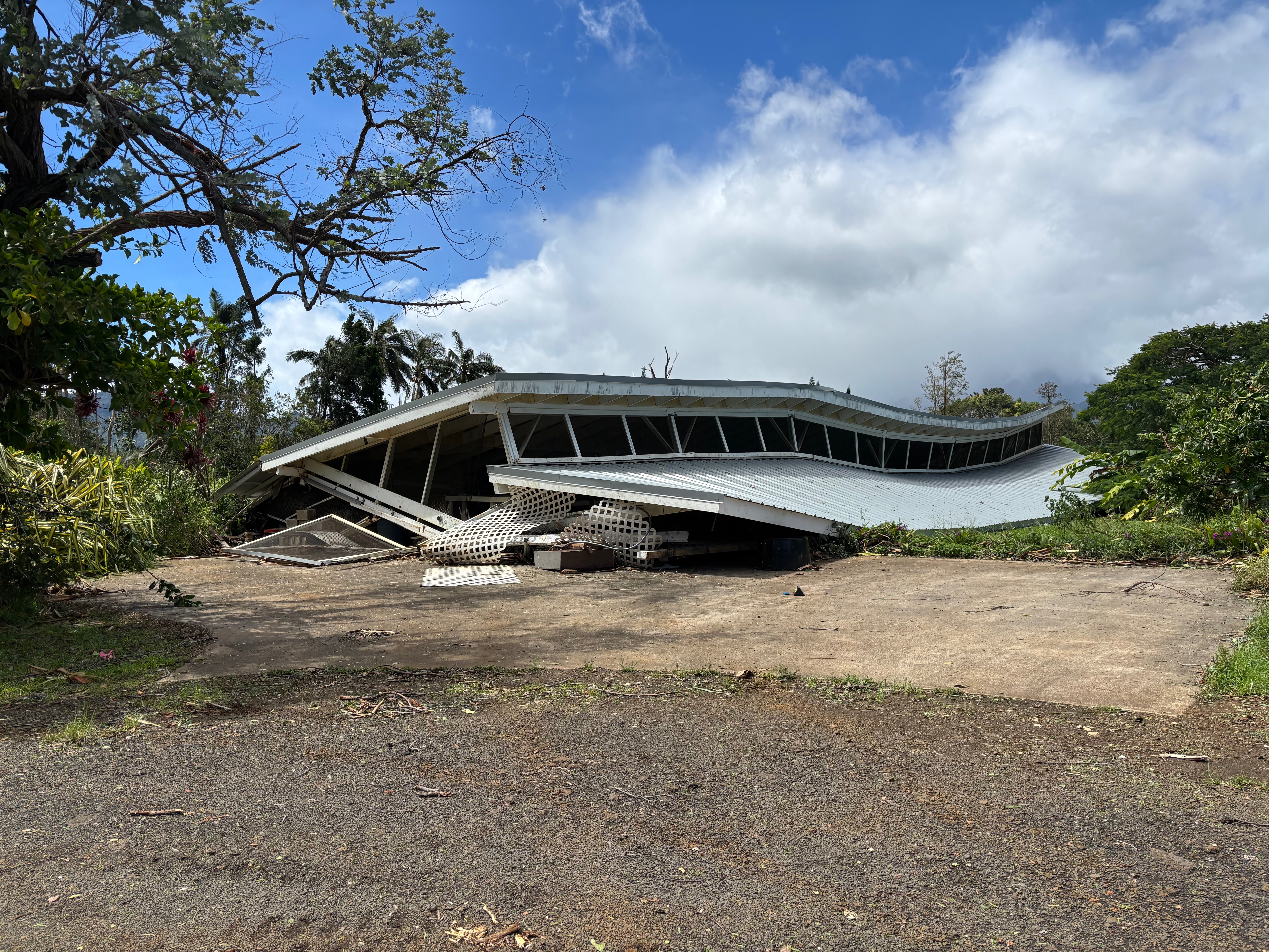 Hawaiian Paradise Flowers Storm Recovery (Pacheco ‘Ohana) campaign photo, 2 of 7