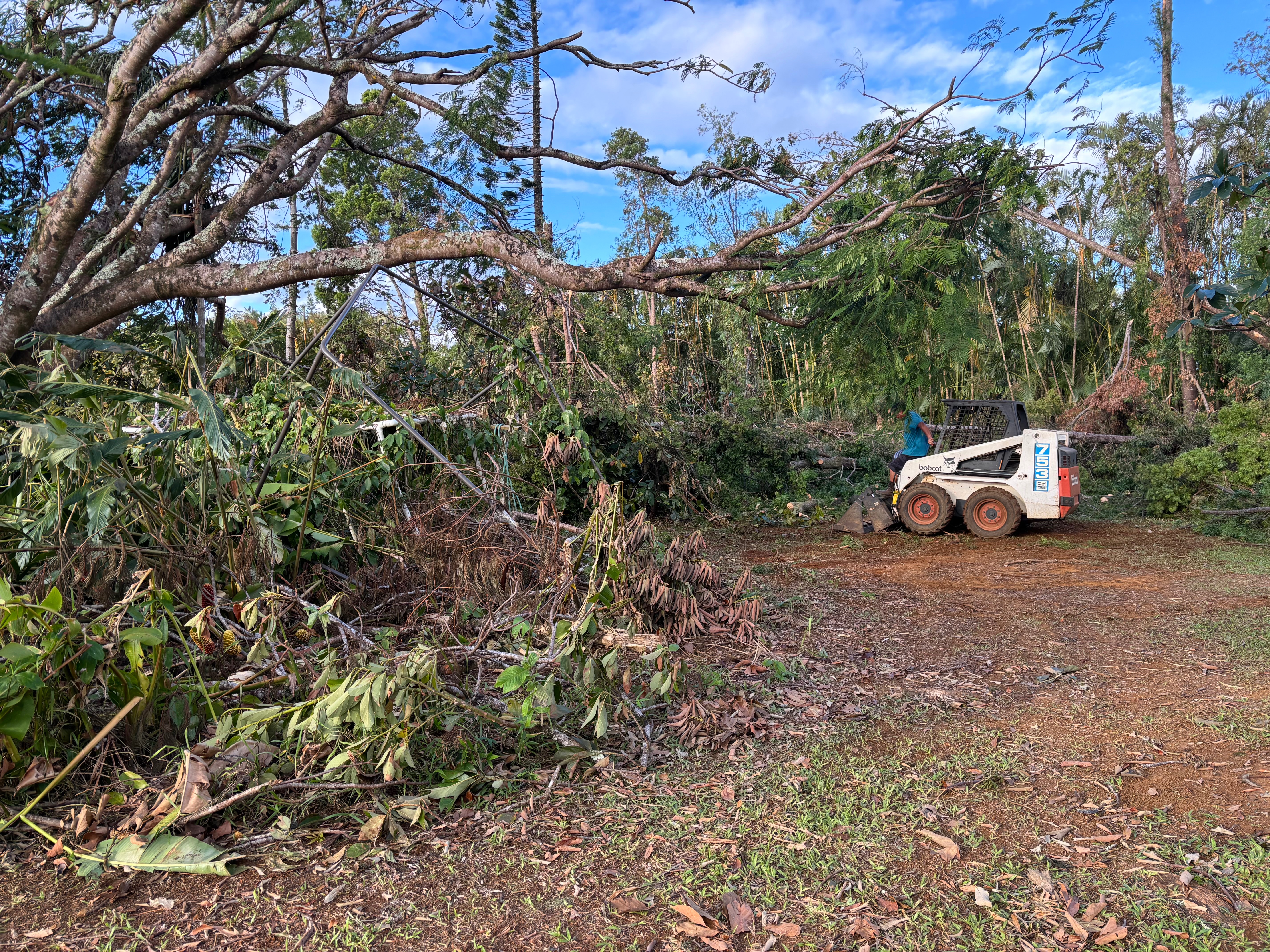 Hawaiian Paradise Flowers Storm Recovery (Pacheco ‘Ohana) campaign photo, 5 of 7