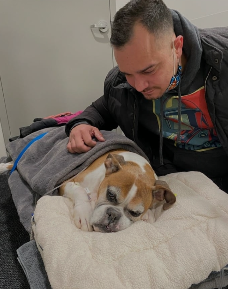 Urgent Housing for Anthony and Wrigley campaign photo, 5 of 8