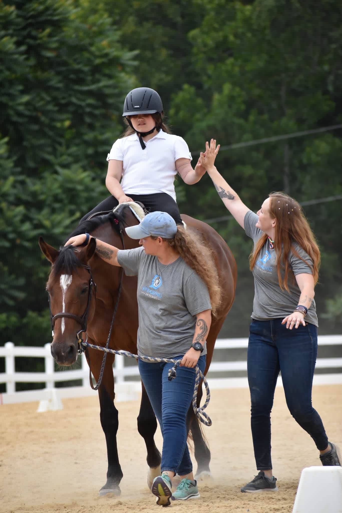 Support Speaking of Horses After Barn Fire campaign photo, 2 of 7