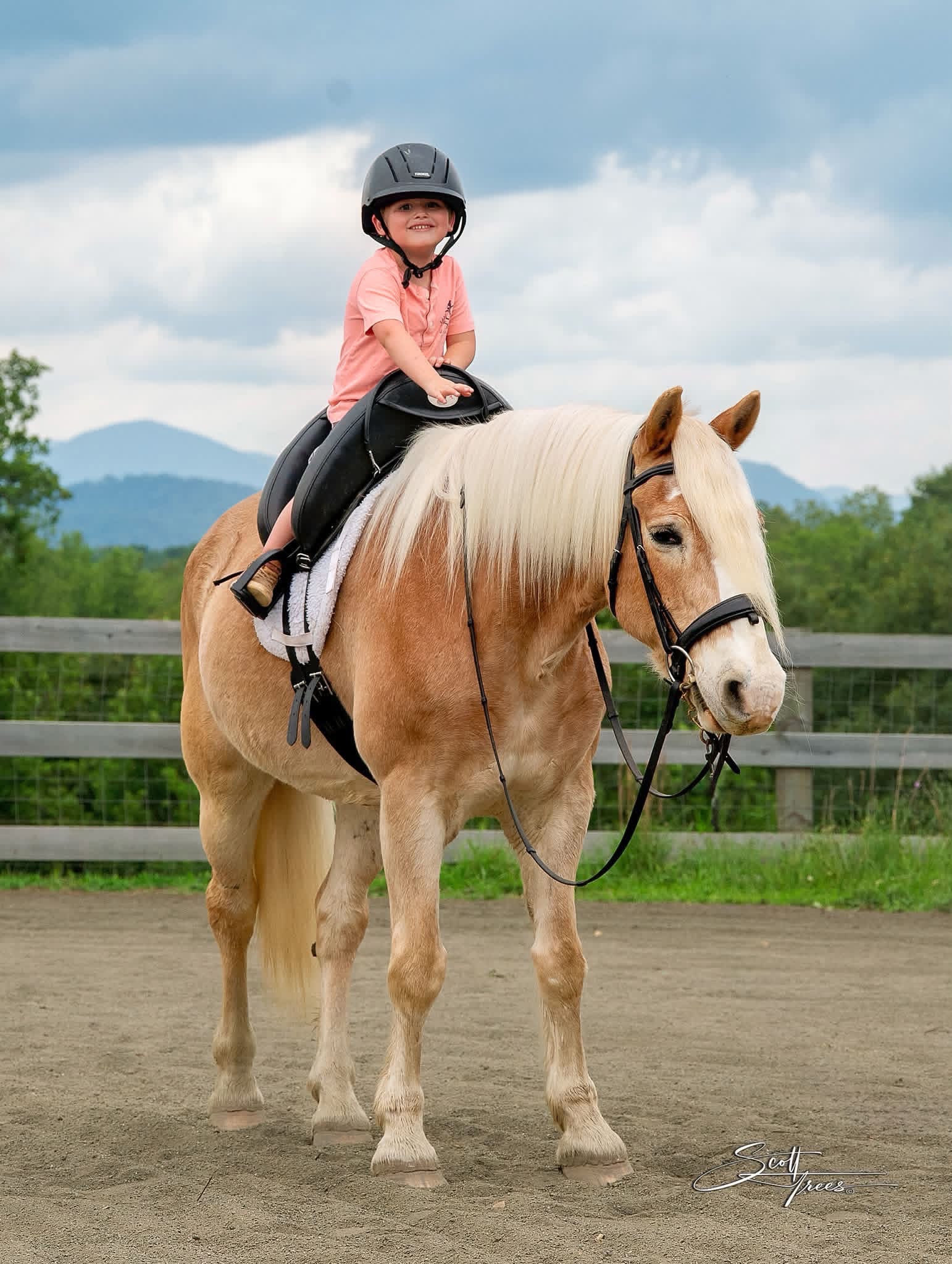 Support Speaking of Horses After Barn Fire campaign photo, 5 of 7