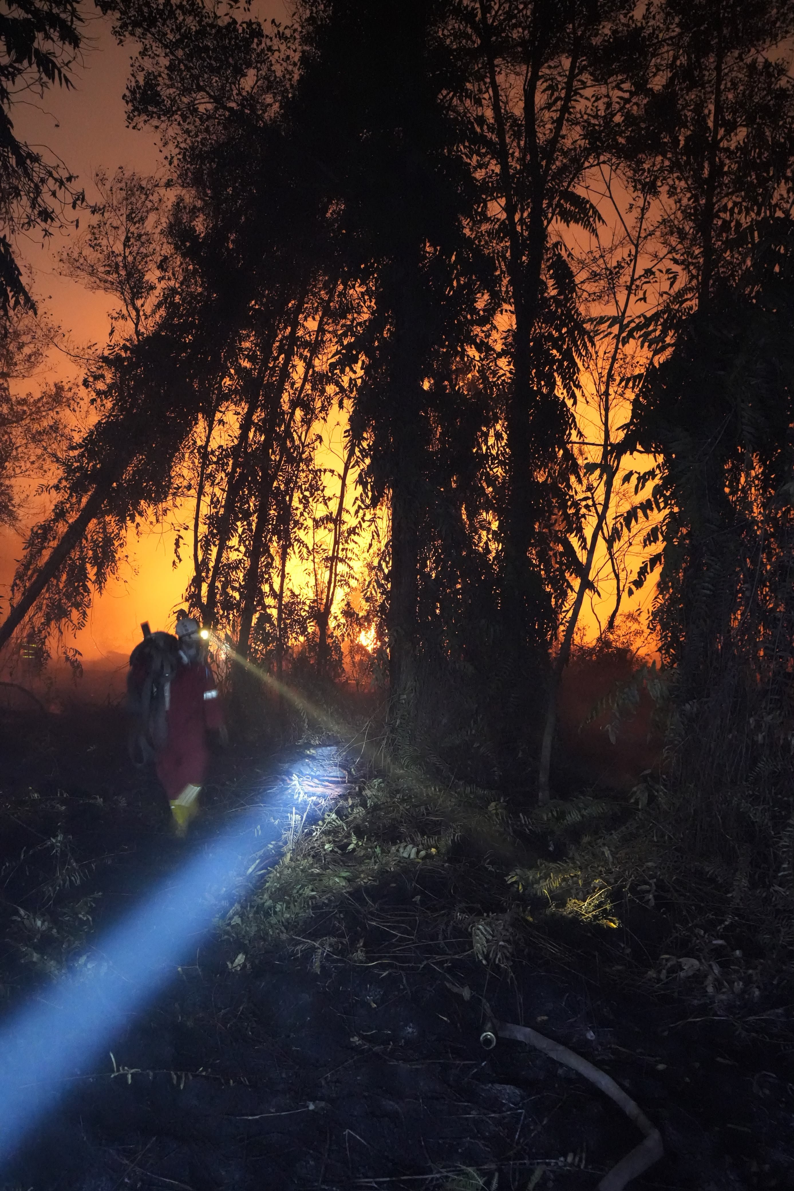 Stand With the People Fighting Back The Borneo Wildfire campaign photo, 2 of 8