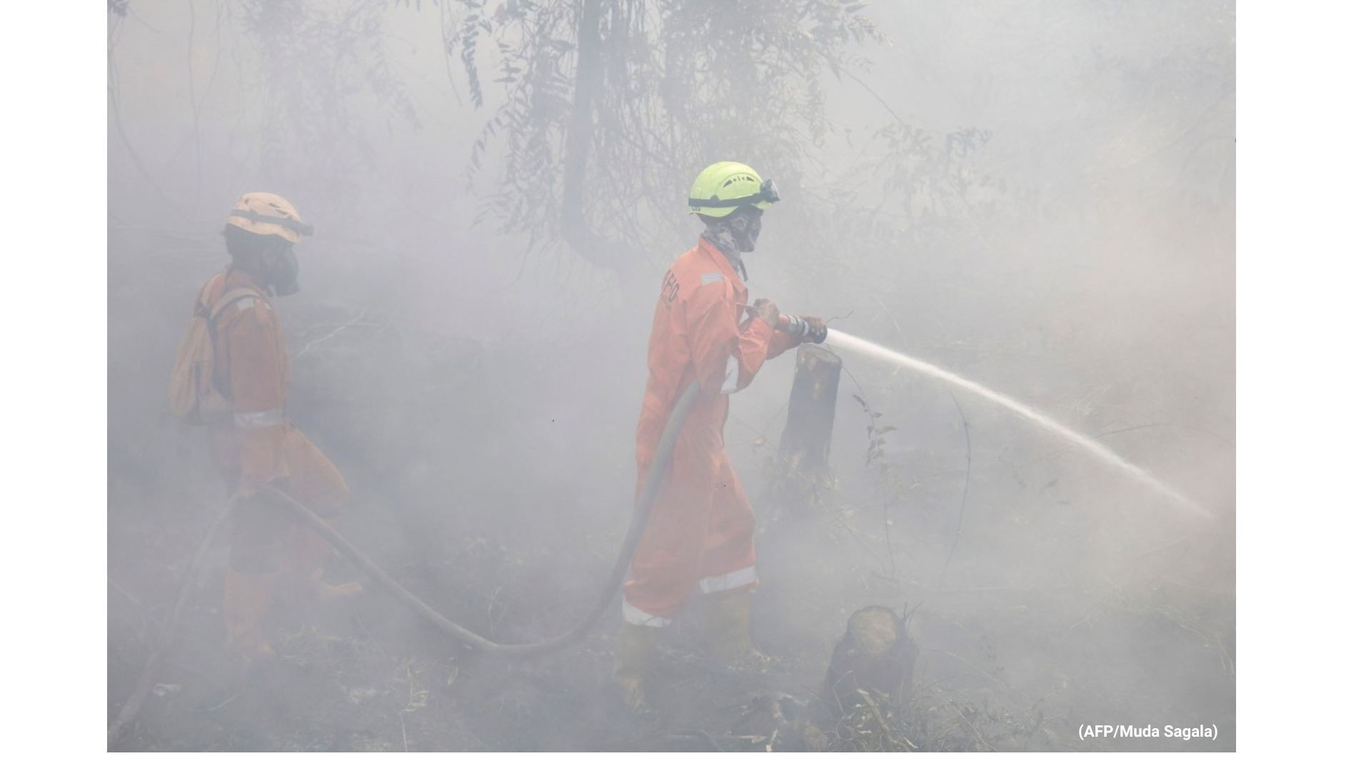 Stand With the People Fighting Back The Borneo Wildfire campaign photo, 4 of 8
