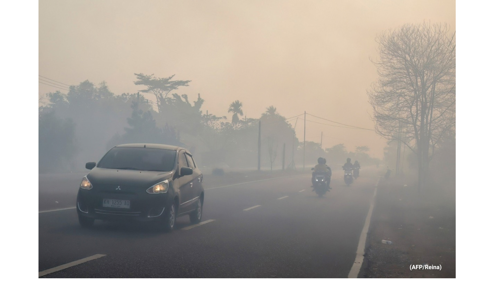 Stand With the People Fighting Back The Borneo Wildfire campaign photo, 5 of 8