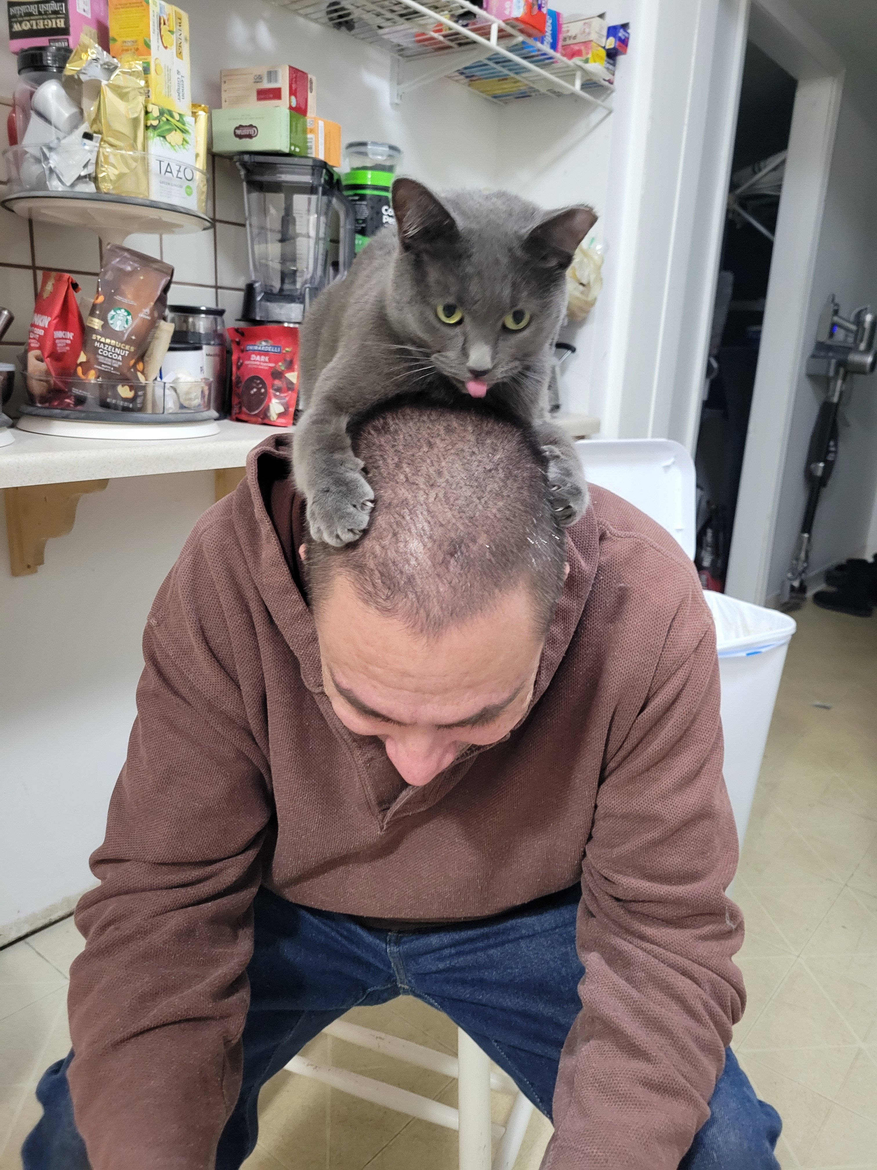 Help Luna get a blood transfusion & a bone marrow biopsy campaign photo, 4 of 7