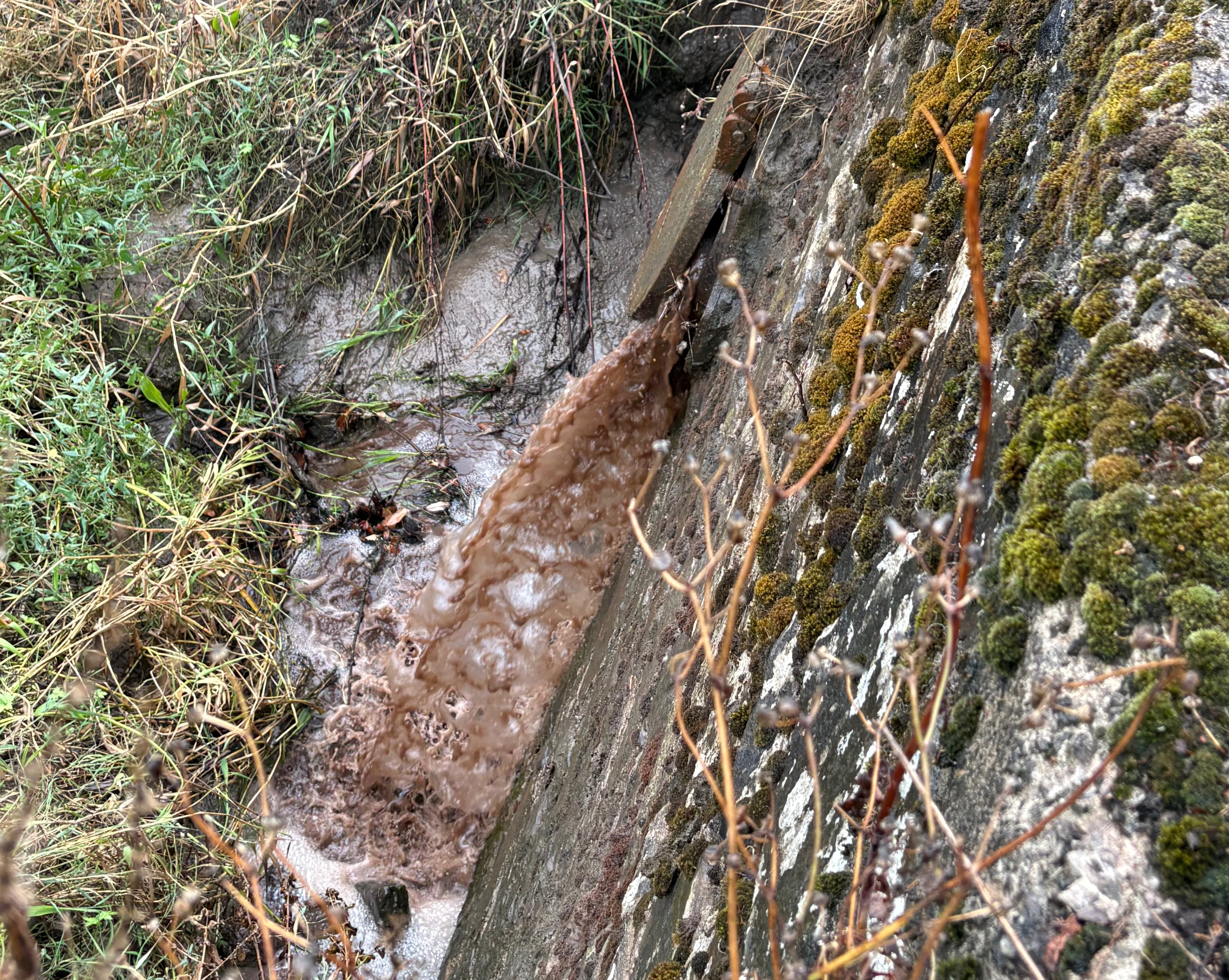 River Wye pollution and water quality campaign photo, 6 of 7