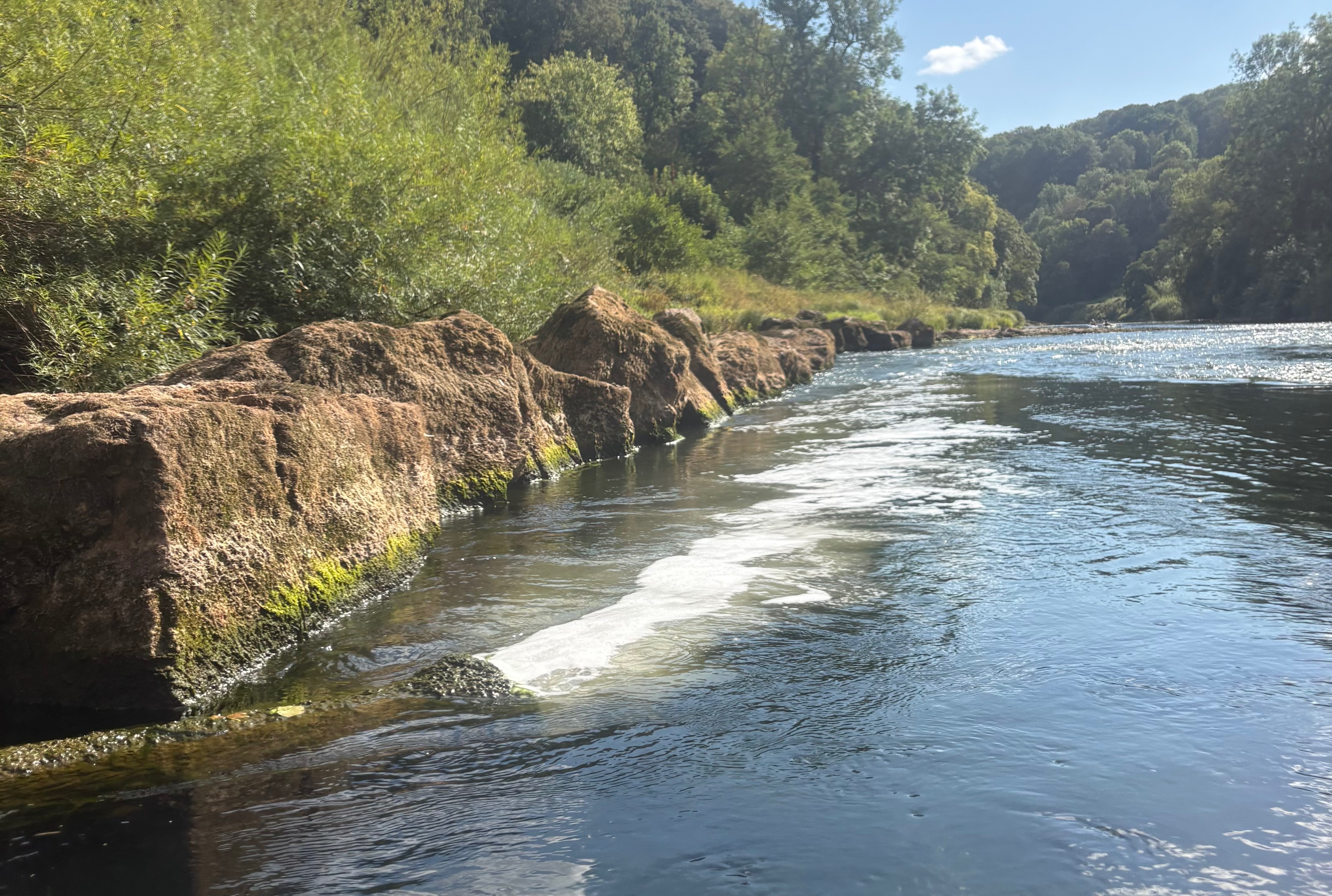 River Wye pollution and water quality campaign photo, 4 of 7