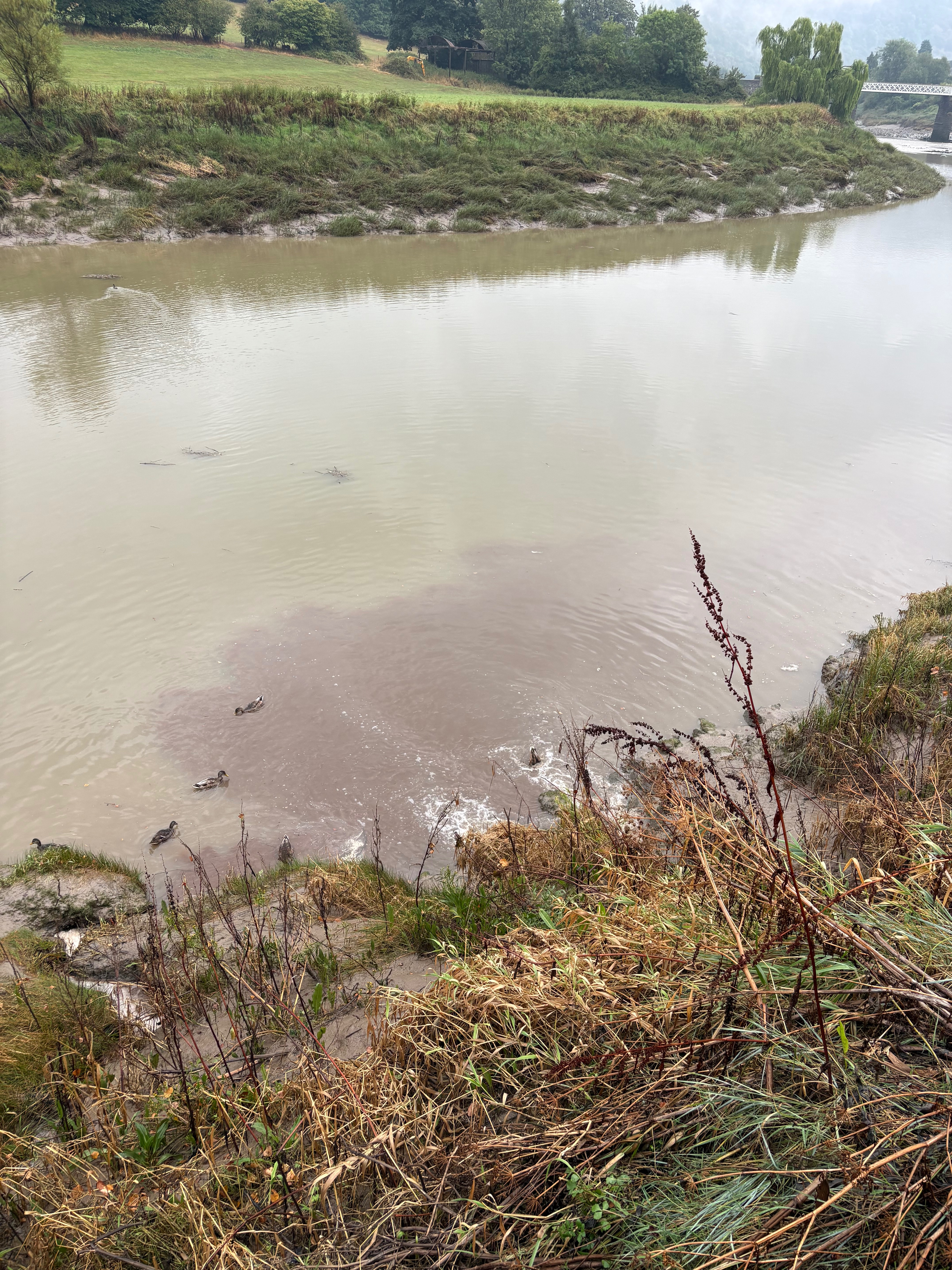 River Wye pollution and water quality campaign photo, 5 of 7