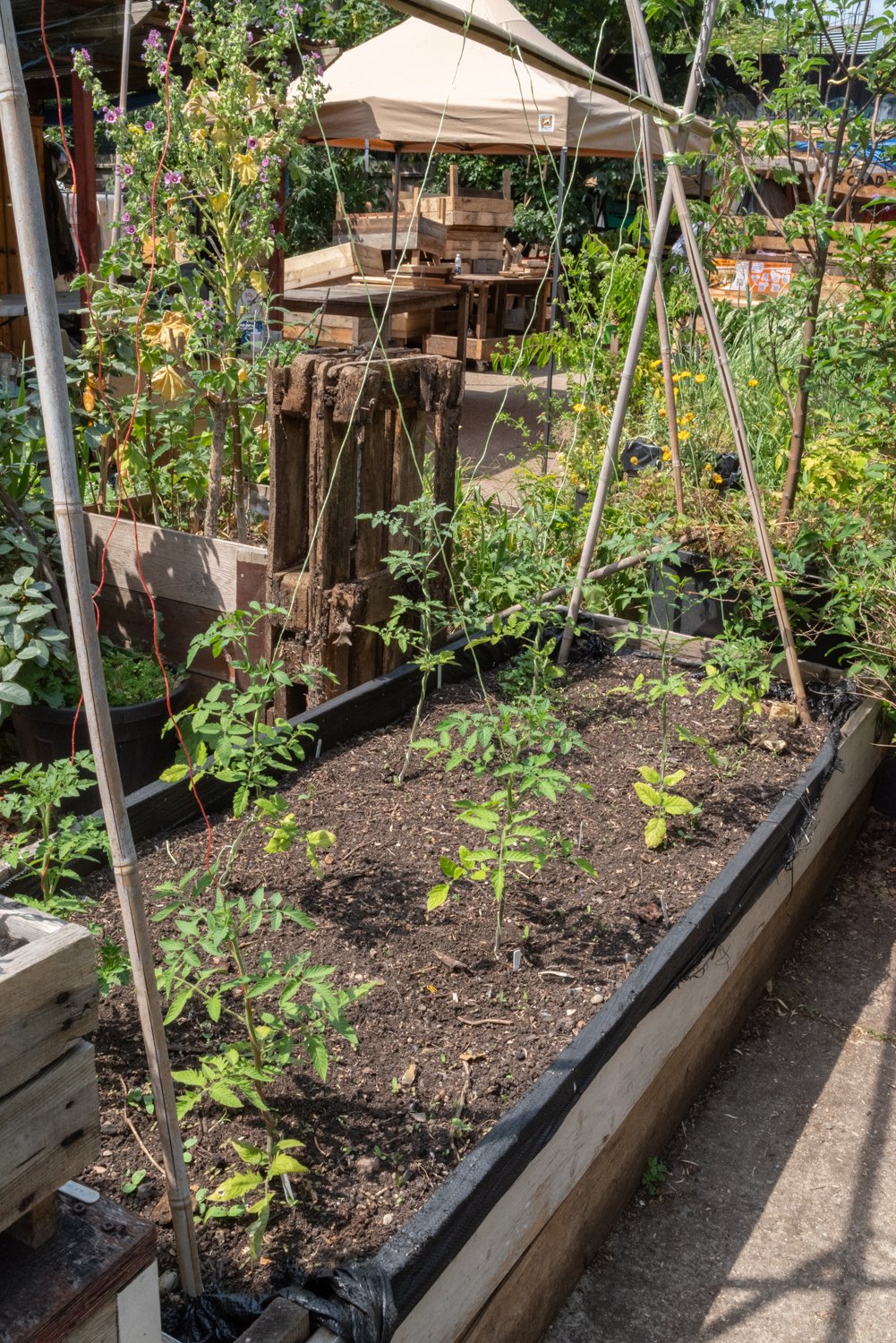 Help the Garden of Earthly Delights recover from a fire campaign photo, 5 of 6
