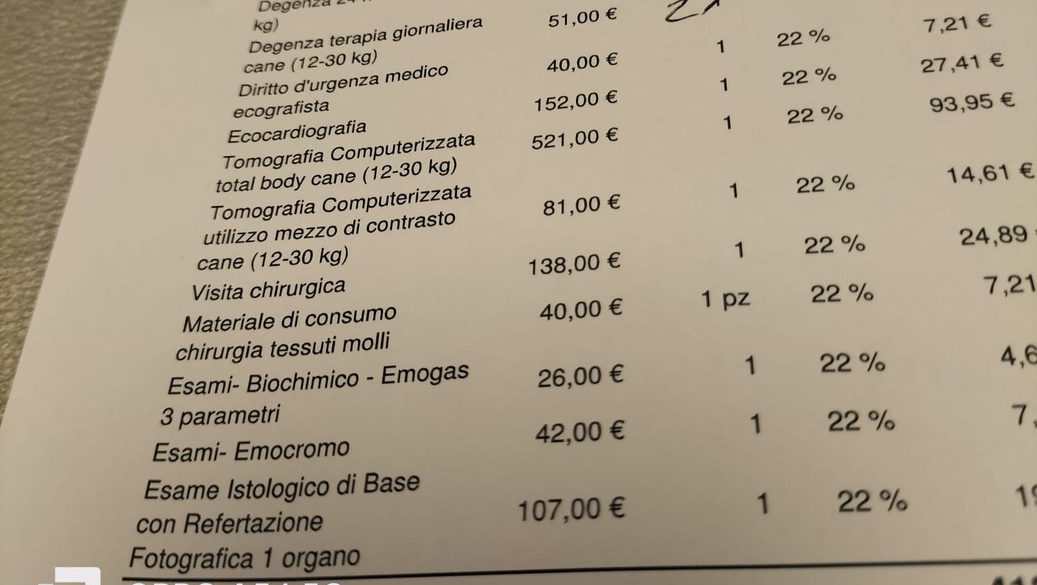 Fundraiser for Rosa Elisabetta Ferroglio by Mary Miceli : L'Unione
