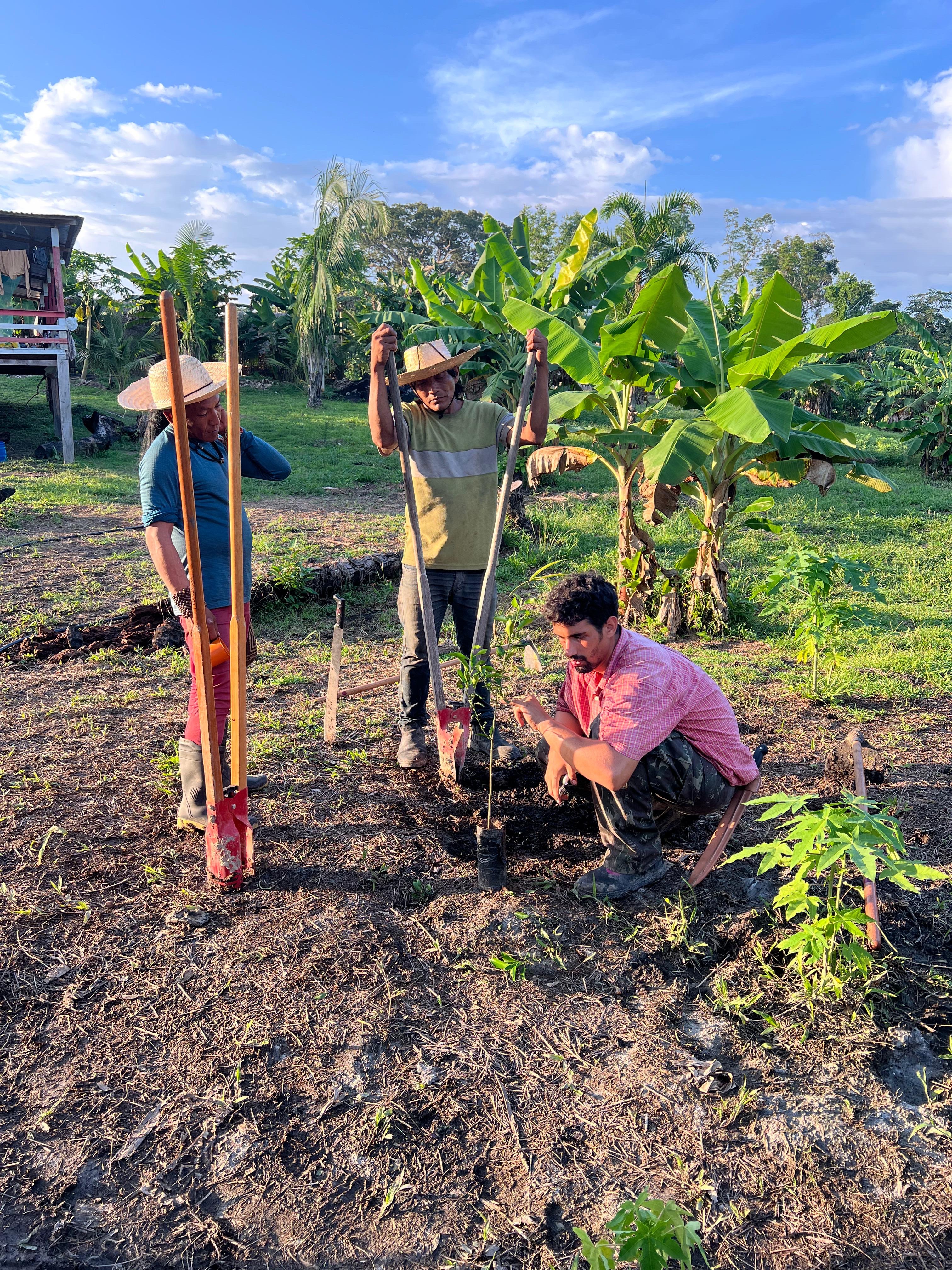 Food Sovereignty: A Birthday Wish from Tuwe & Leah campaign photo, 4 of 8