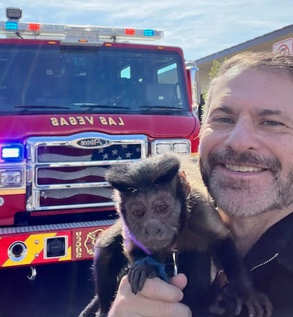 Help Eris Keep Las Vegas Veterans and Their Pets Together campaign photo, 2 of 7
