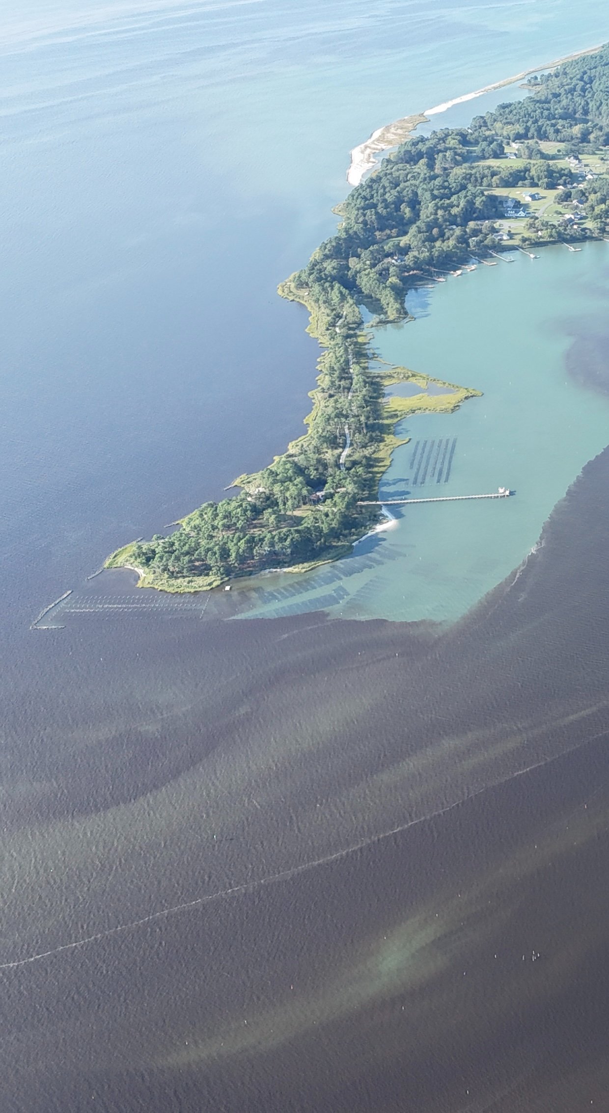 Support Alex & Allison's Family & Rebuilding The Oyster Farm campaign photo, 7 of 8