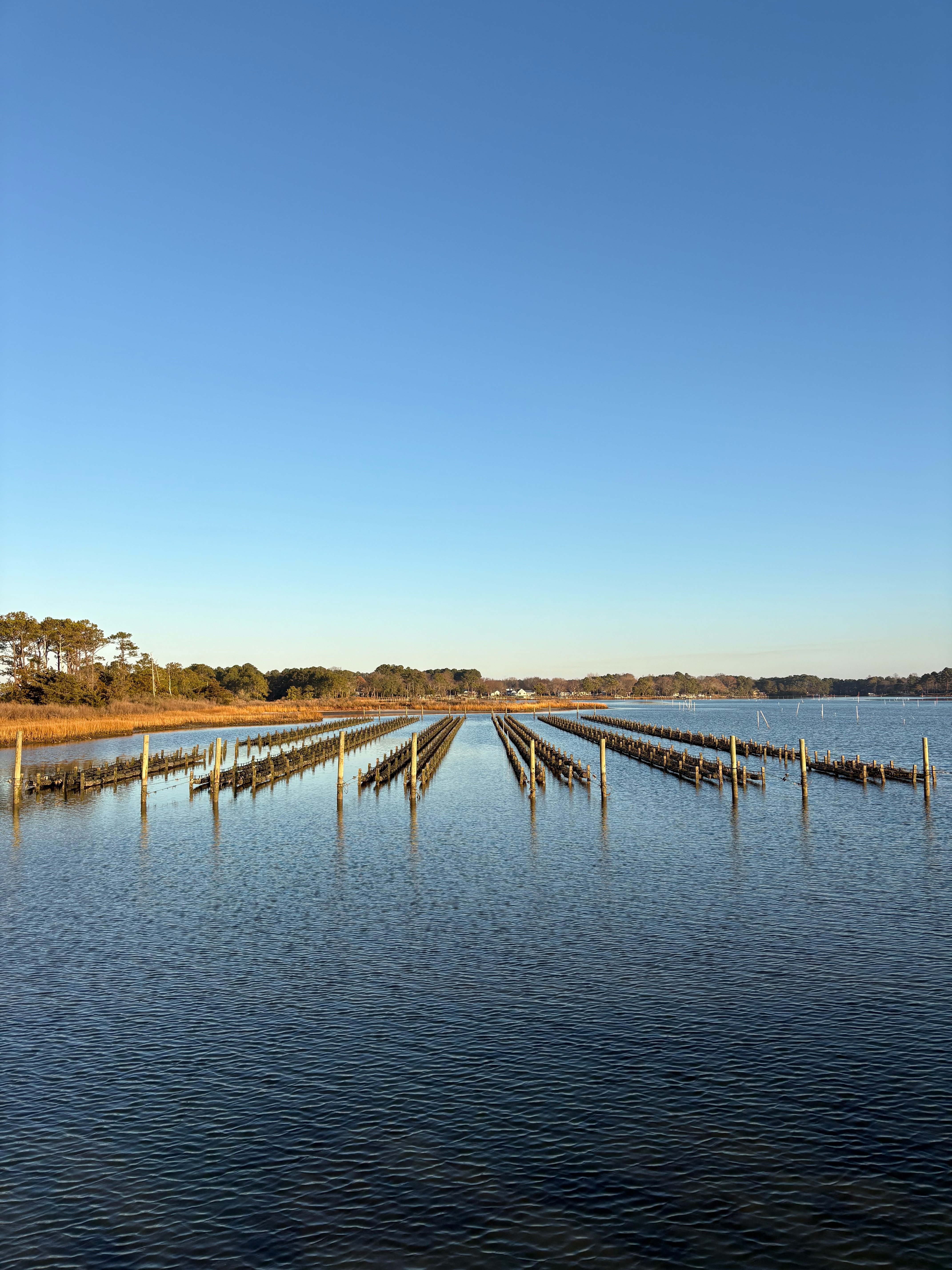 Support Alex & Allison's Family & Rebuilding The Oyster Farm campaign photo, 5 of 8