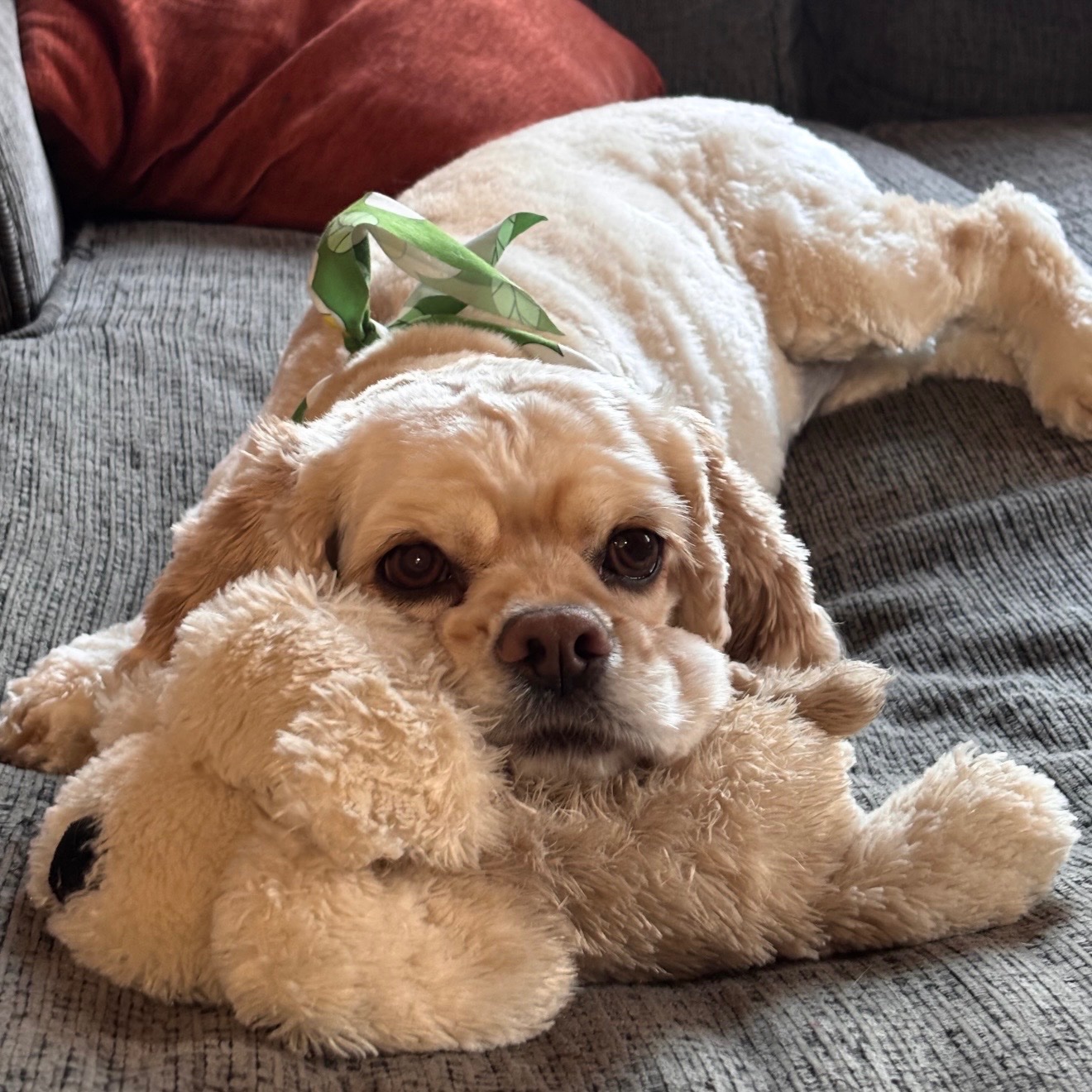 In loving memory of Mabel campaign photo, 6 of 10