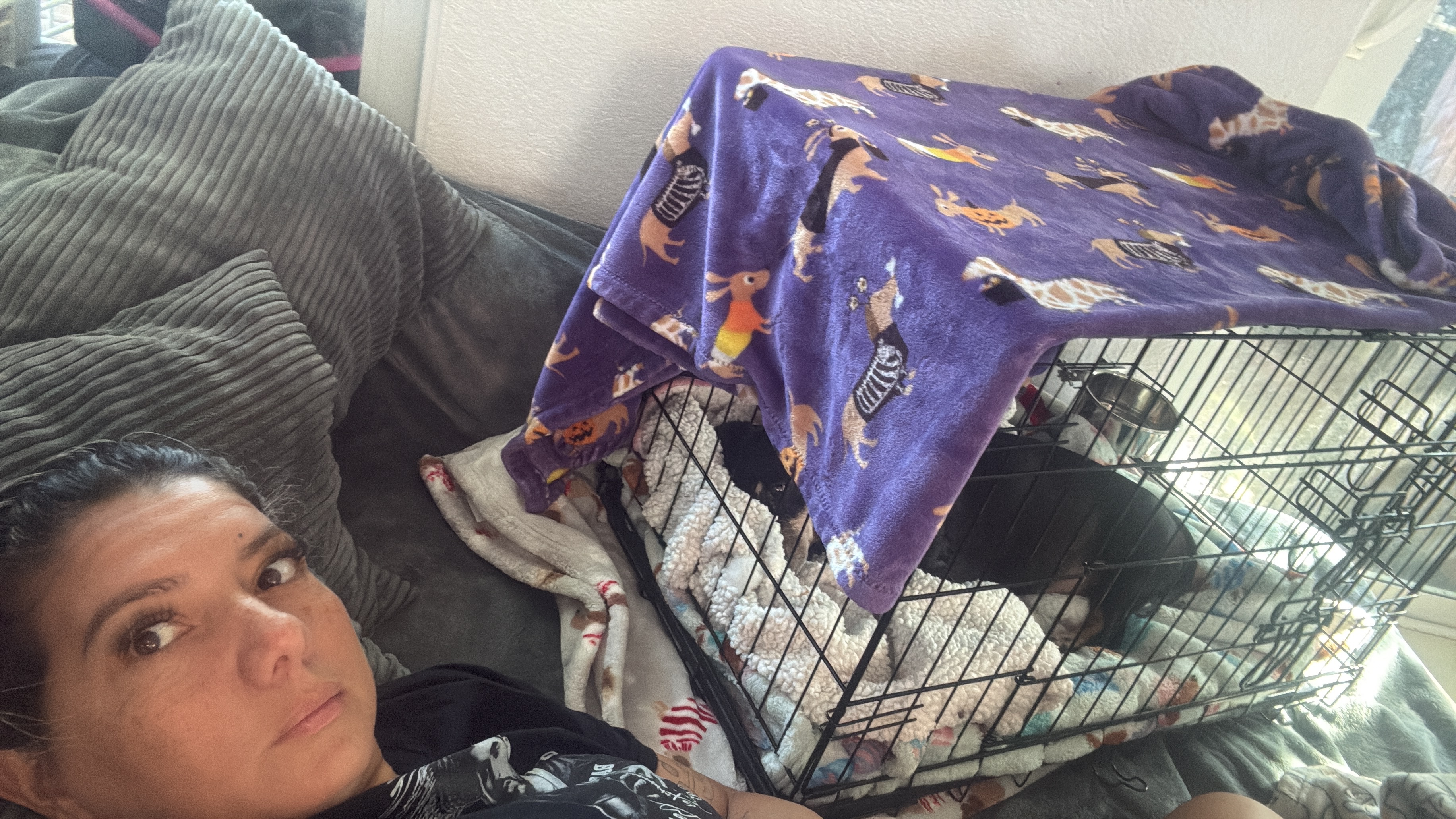 Help Luna Walk Again: Her Road to Recovery campaign photo, 6 of 7