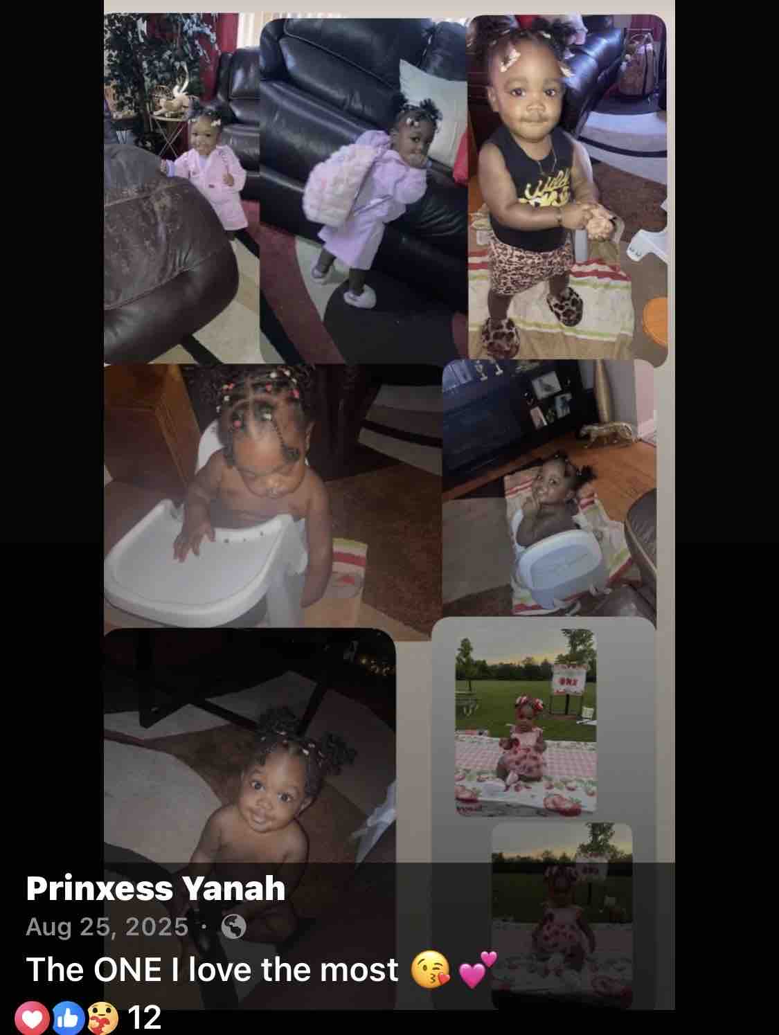 Honoring Iyanah and Caring for Ariylah campaign photo, 10 of 12