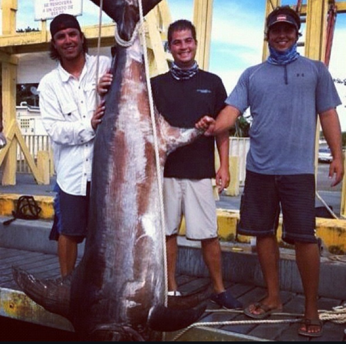 Help Irving Givaudan Get Back to the Sea campaign photo, 6 of 7