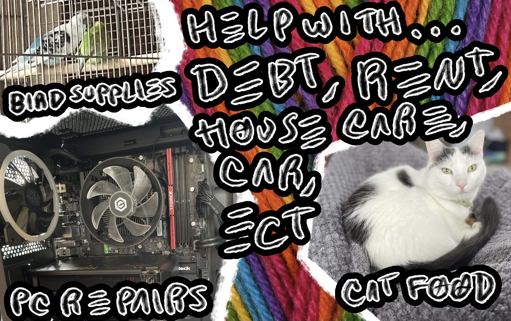 Help Derangedleech Recover from Move and Life! campaign photo, 2 of 4