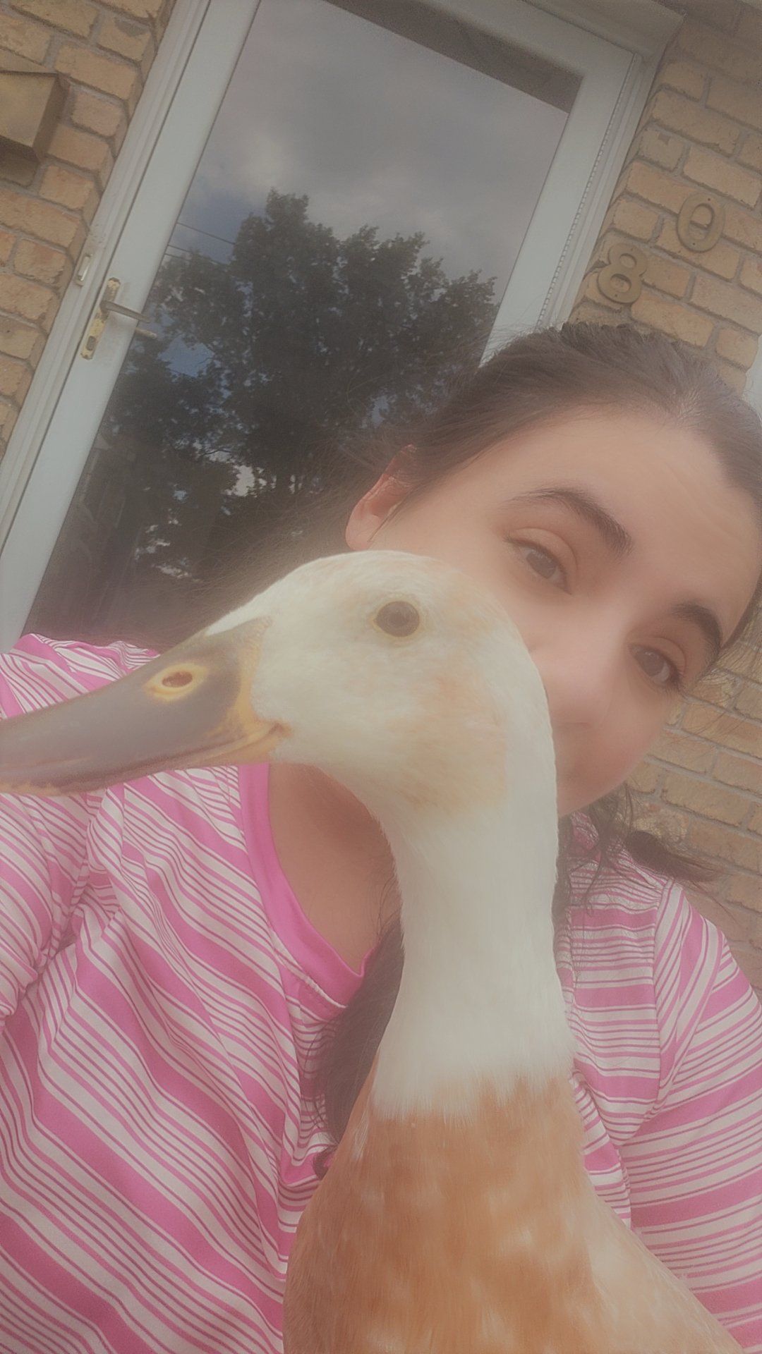 Paz Needs Emergency Avian Vet Care Right Now campaign photo, 6 of 7