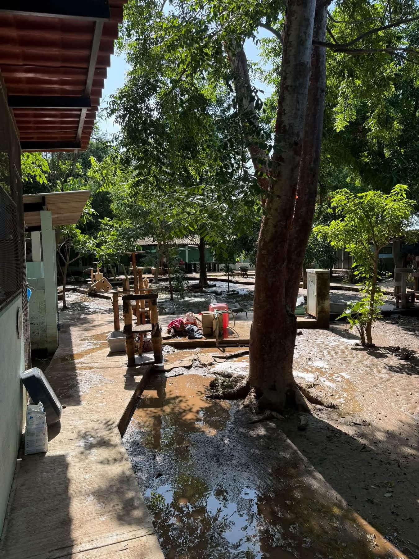 Help The Purr Project PV Rebuild After Devastating Flooding campaign photo, 5 of 10
