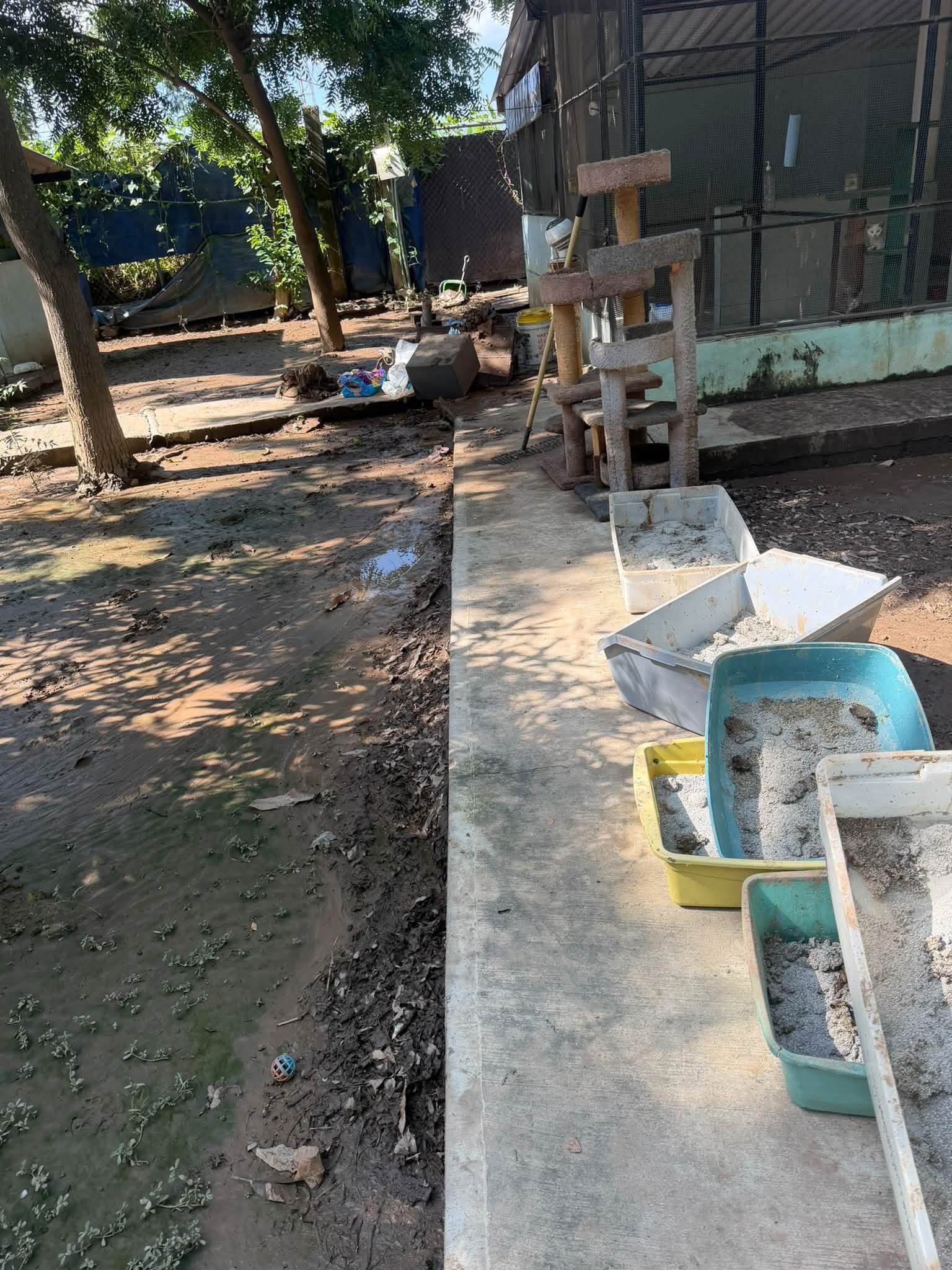 Help The Purr Project PV Rebuild After Devastating Flooding campaign photo, 8 of 10