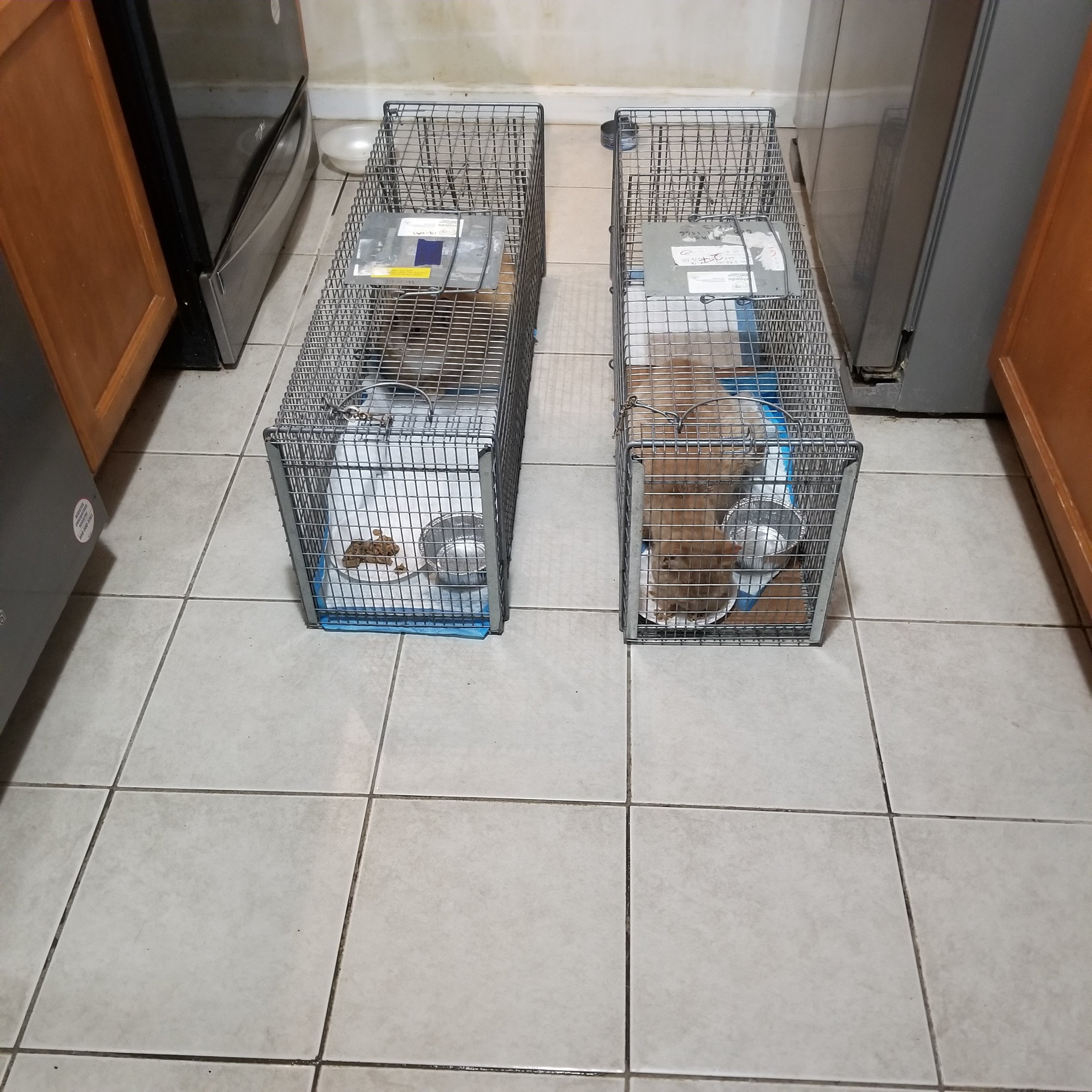 Support Animal Safety Haven — Helping Animals in Need campaign photo, 5 of 7