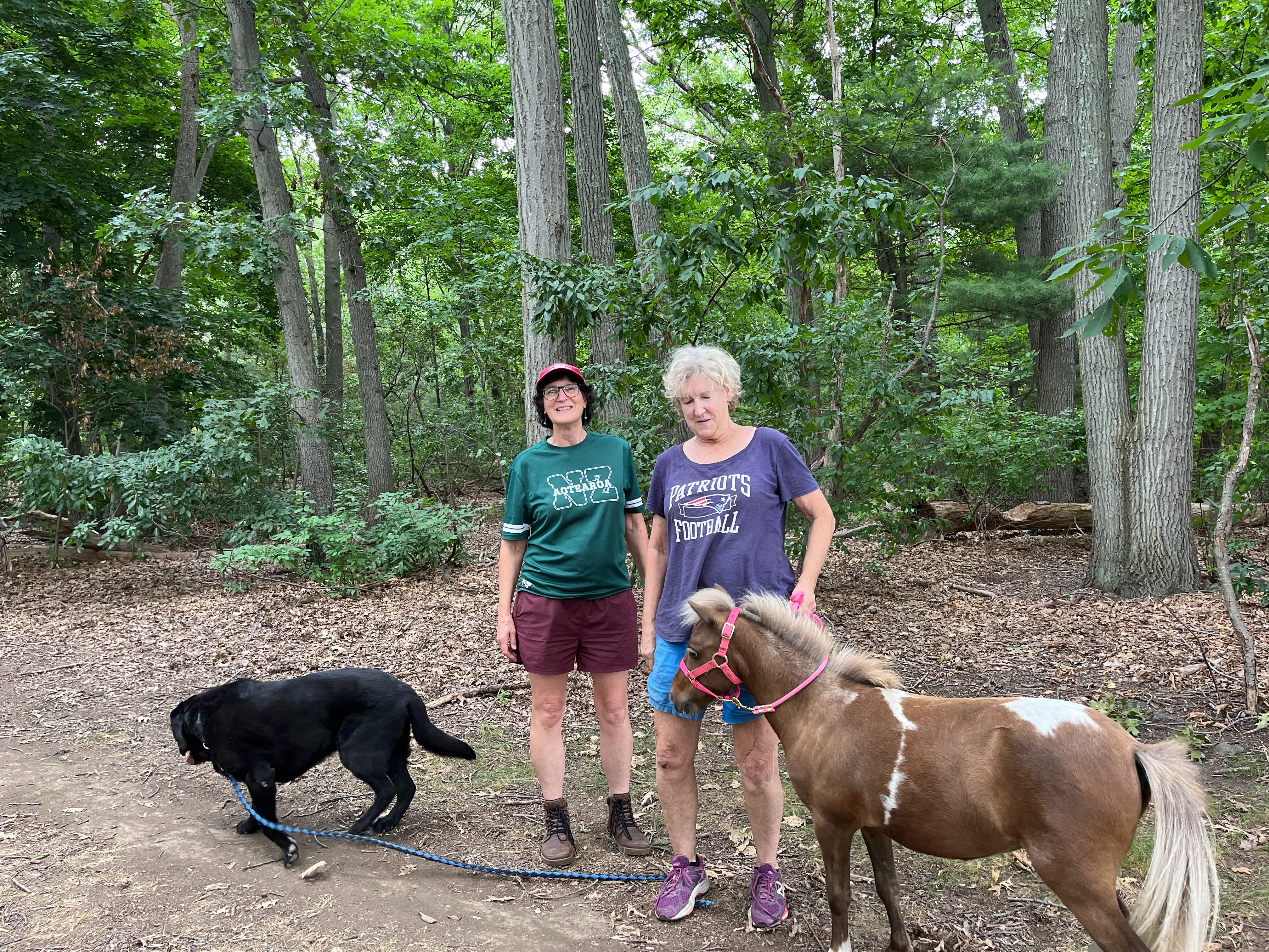 Keep Clover Home With Judy in Newton campaign photo, 4 of 8