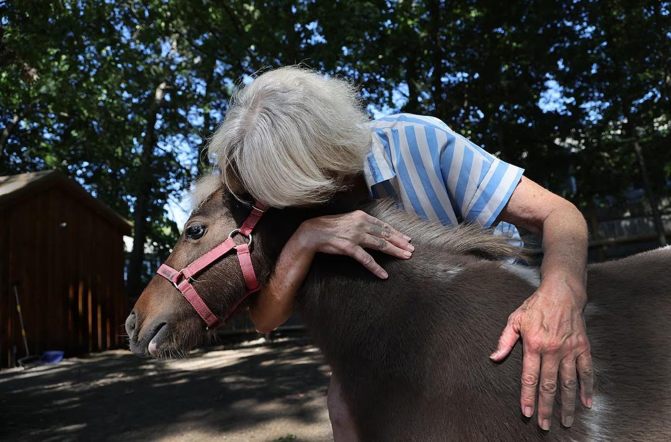Keep Clover Home With Judy in Newton campaign photo, 5 of 8