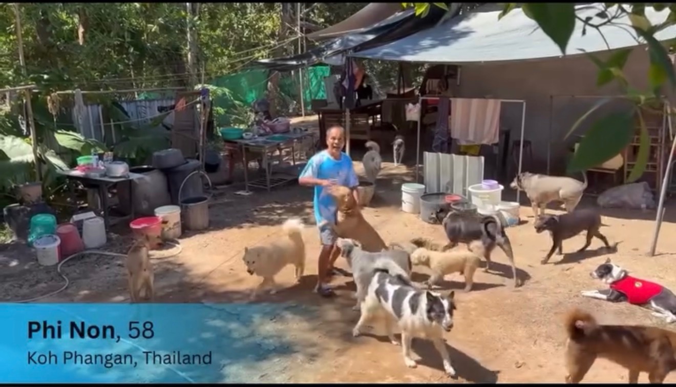 Help Us Care For Animals Across Koh Phangan campaign photo, 12 of 13