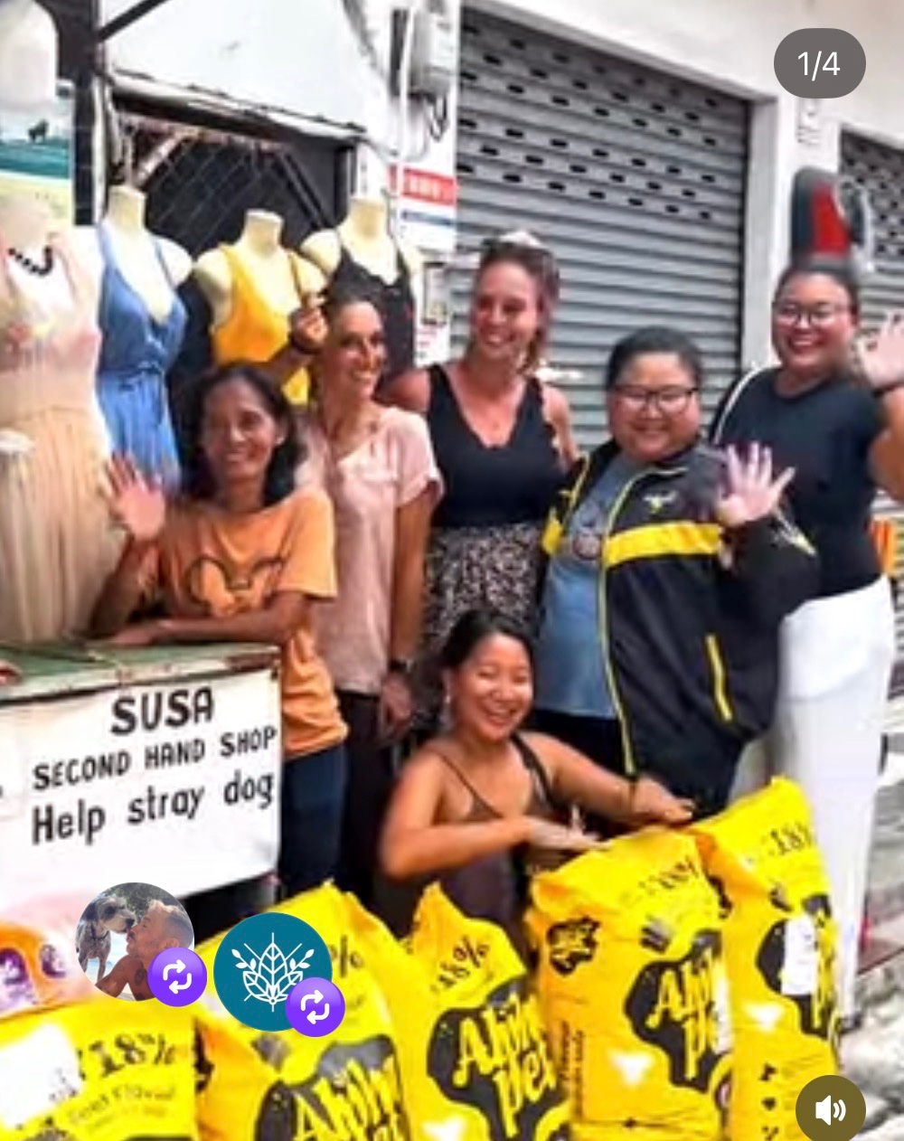 Help Us Care For Animals Across Koh Phangan campaign photo, 2 of 13